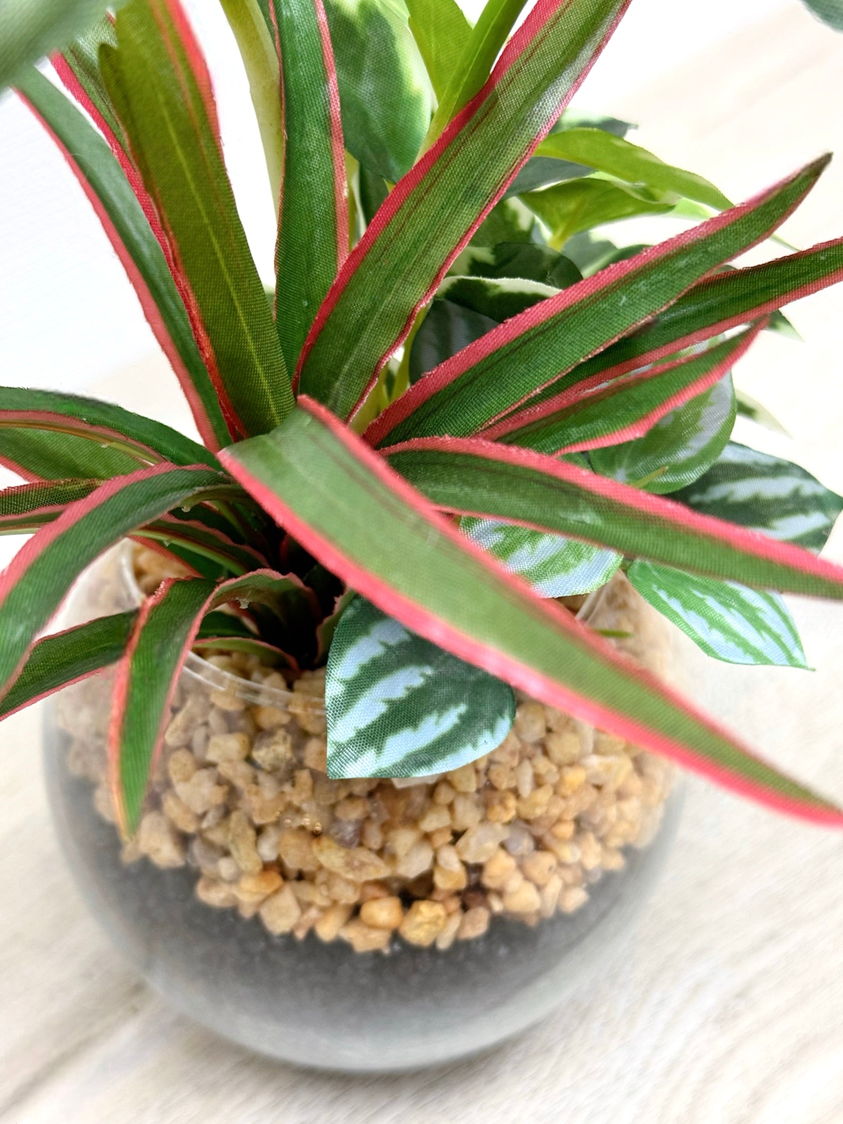 【香港現貨】仿真五彩芋玻璃盆栽 (23cm) | 北歐風人造植物 辦公室桌面裝飾 Caladium & Mini Leaf - Midoria