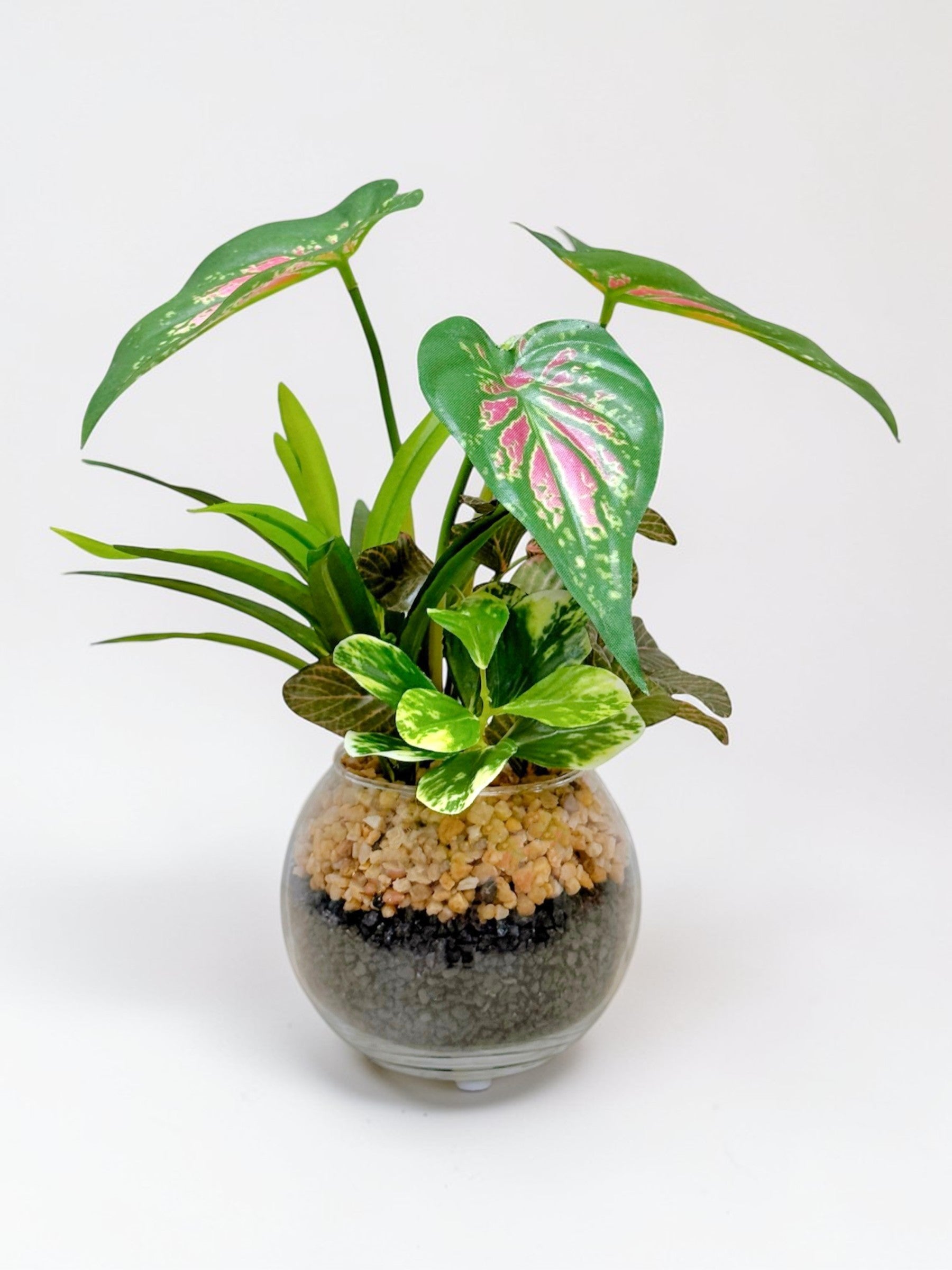 【香港現貨】仿真五彩芋玻璃盆栽 (23cm) | 北歐風人造植物 辦公室桌面裝飾 Caladium & Mini Leaf - Midoria