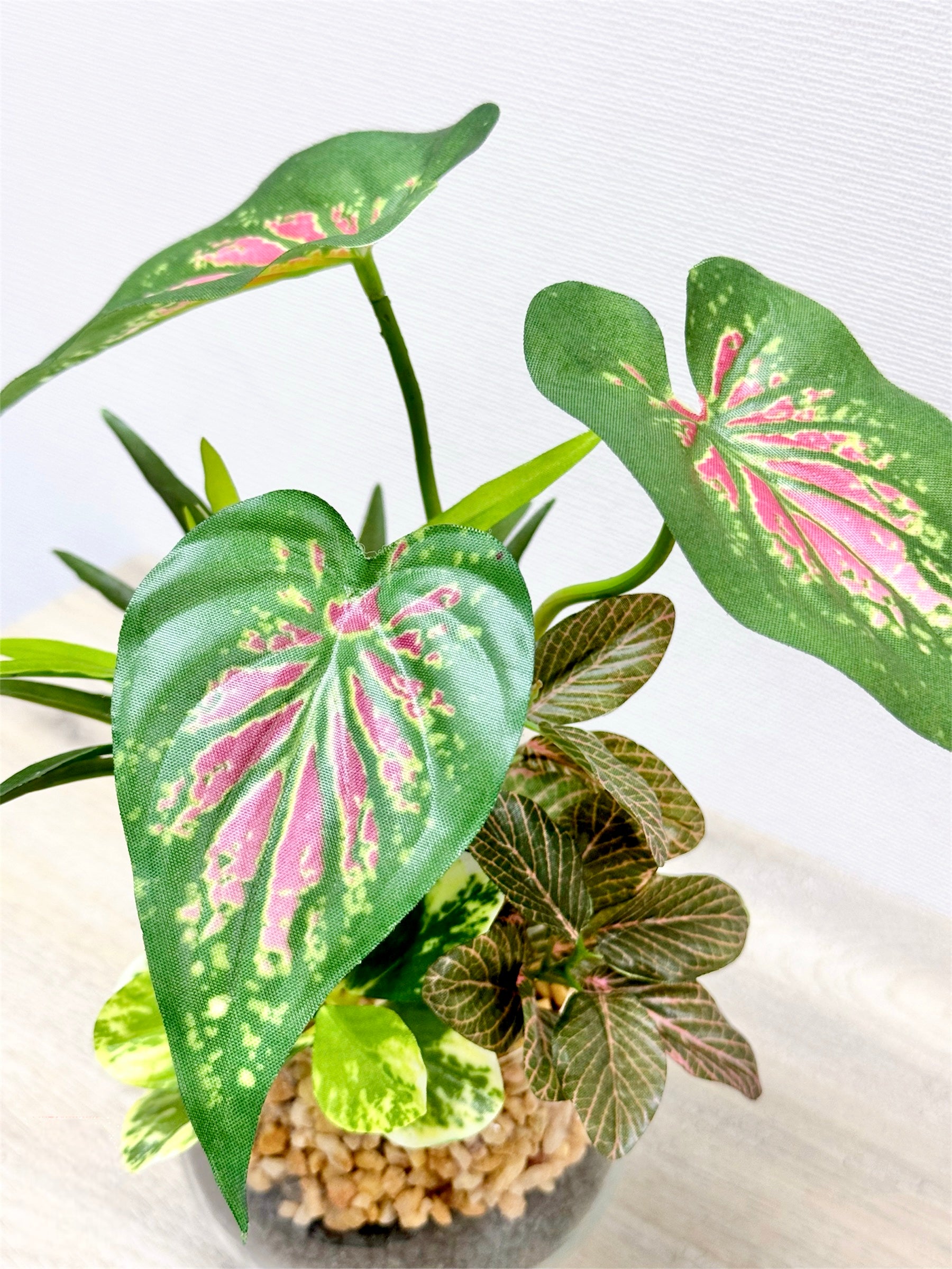 【香港現貨】仿真五彩芋玻璃盆栽 (23cm) | 北歐風人造植物 辦公室桌面裝飾 Caladium & Mini Leaf - Midoria