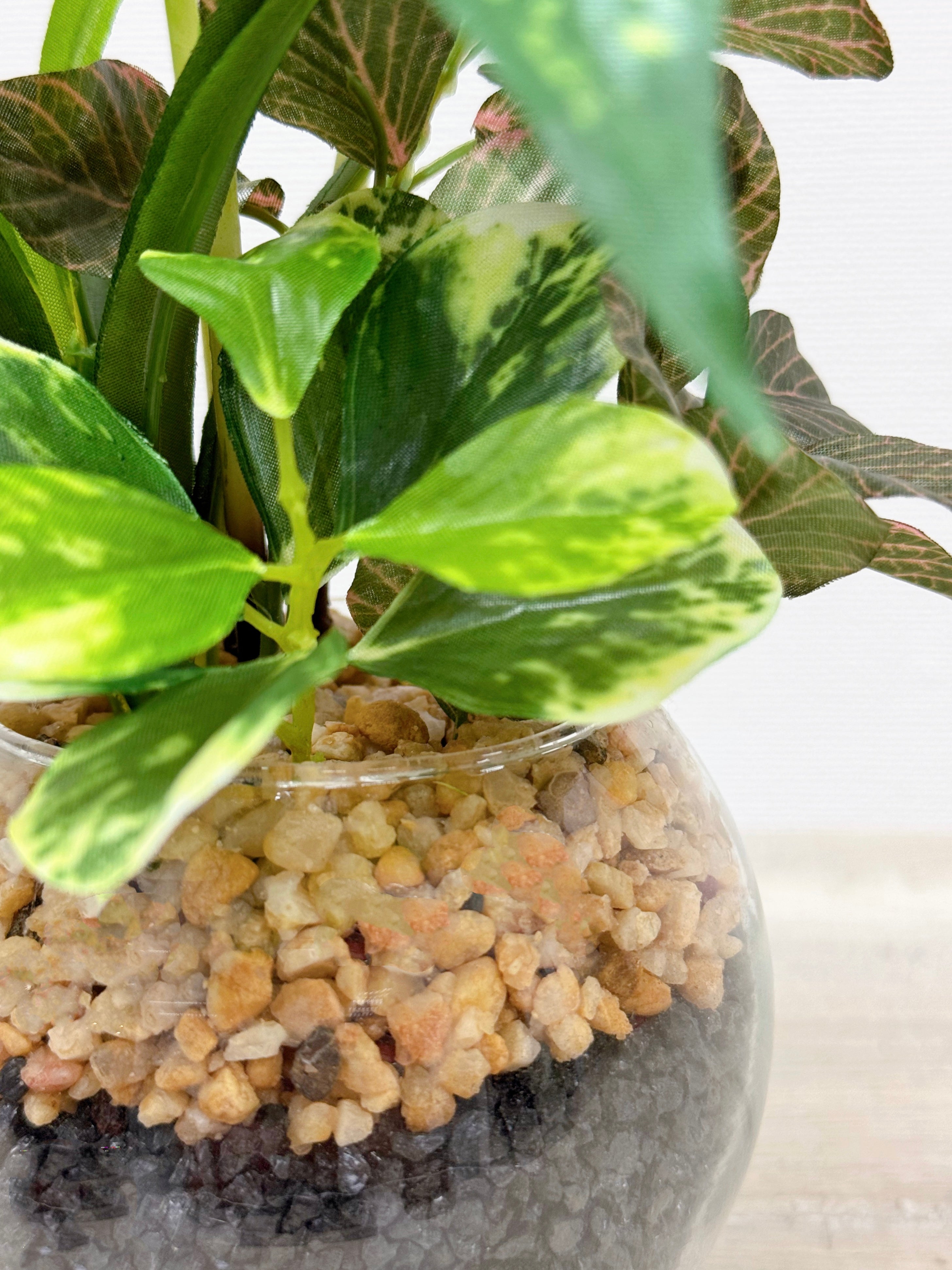 【香港現貨】仿真五彩芋玻璃盆栽 (23cm) | 北歐風人造植物 辦公室桌面裝飾 Caladium & Mini Leaf - Midoria