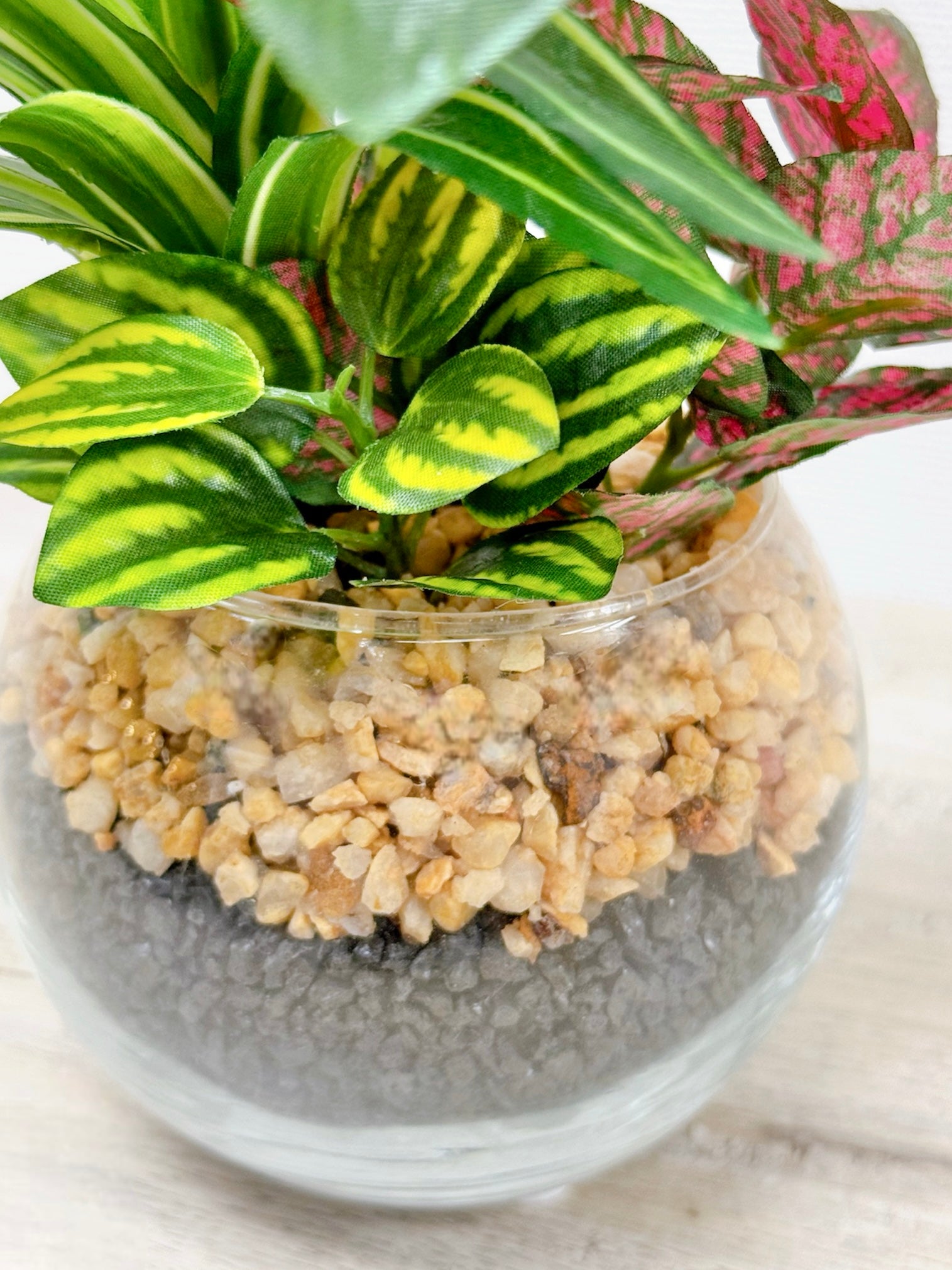 【香港現貨】仿真五彩芋玻璃盆栽 (23cm) | 北歐風人造植物 辦公室桌面裝飾 Caladium & Mini Leaf - Midoria