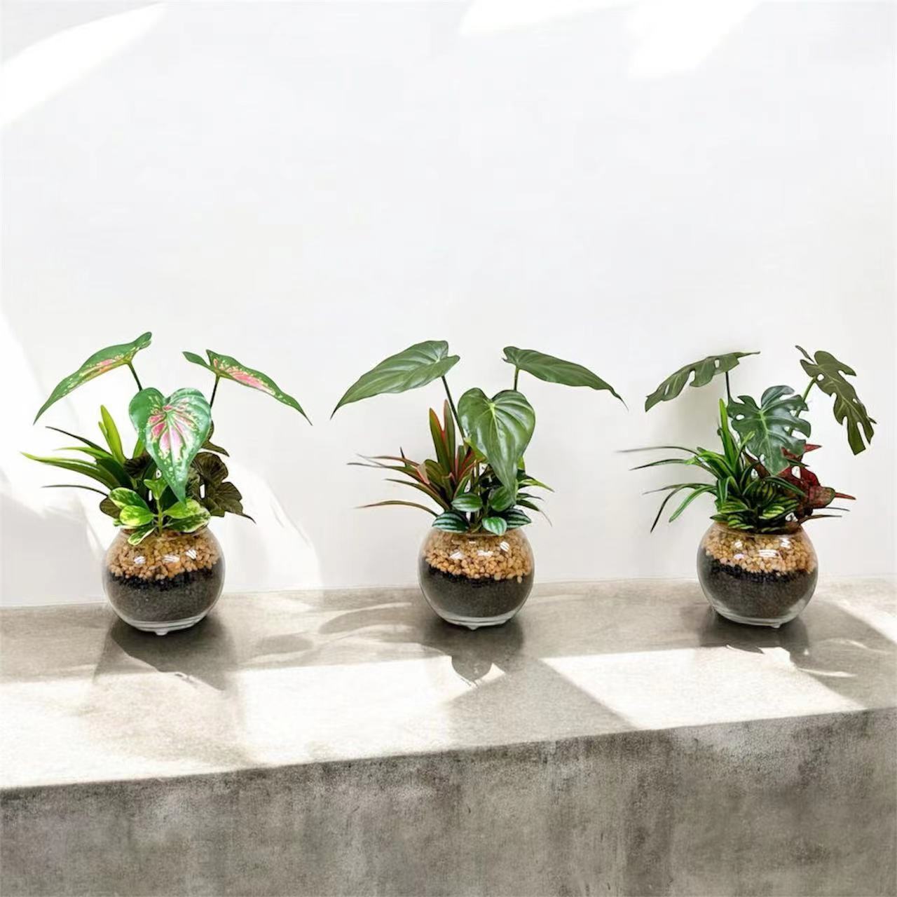 23cm 仿真五彩芋搭配迷你葉盆栽 Caladium & Mini Leaf with Glass Pot