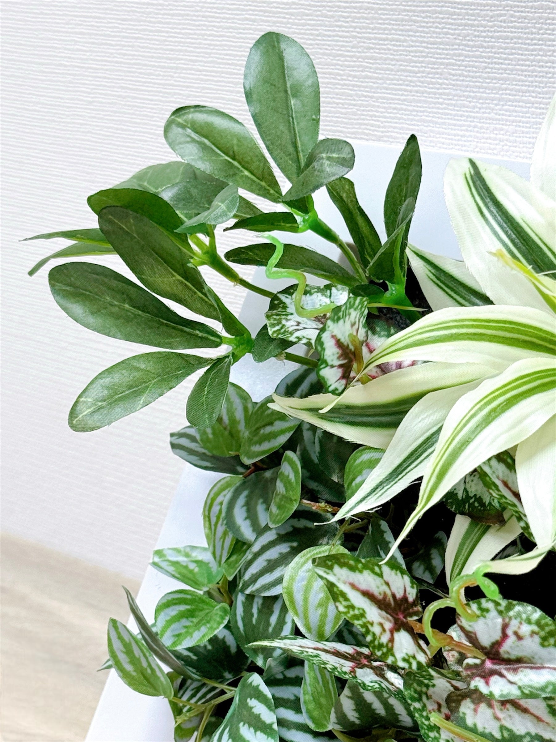 【香港現貨】仿真植物掛牆畫框 2件組 (25cm) | 3D 立體牆身裝飾 Wall Frame Set - Midoria