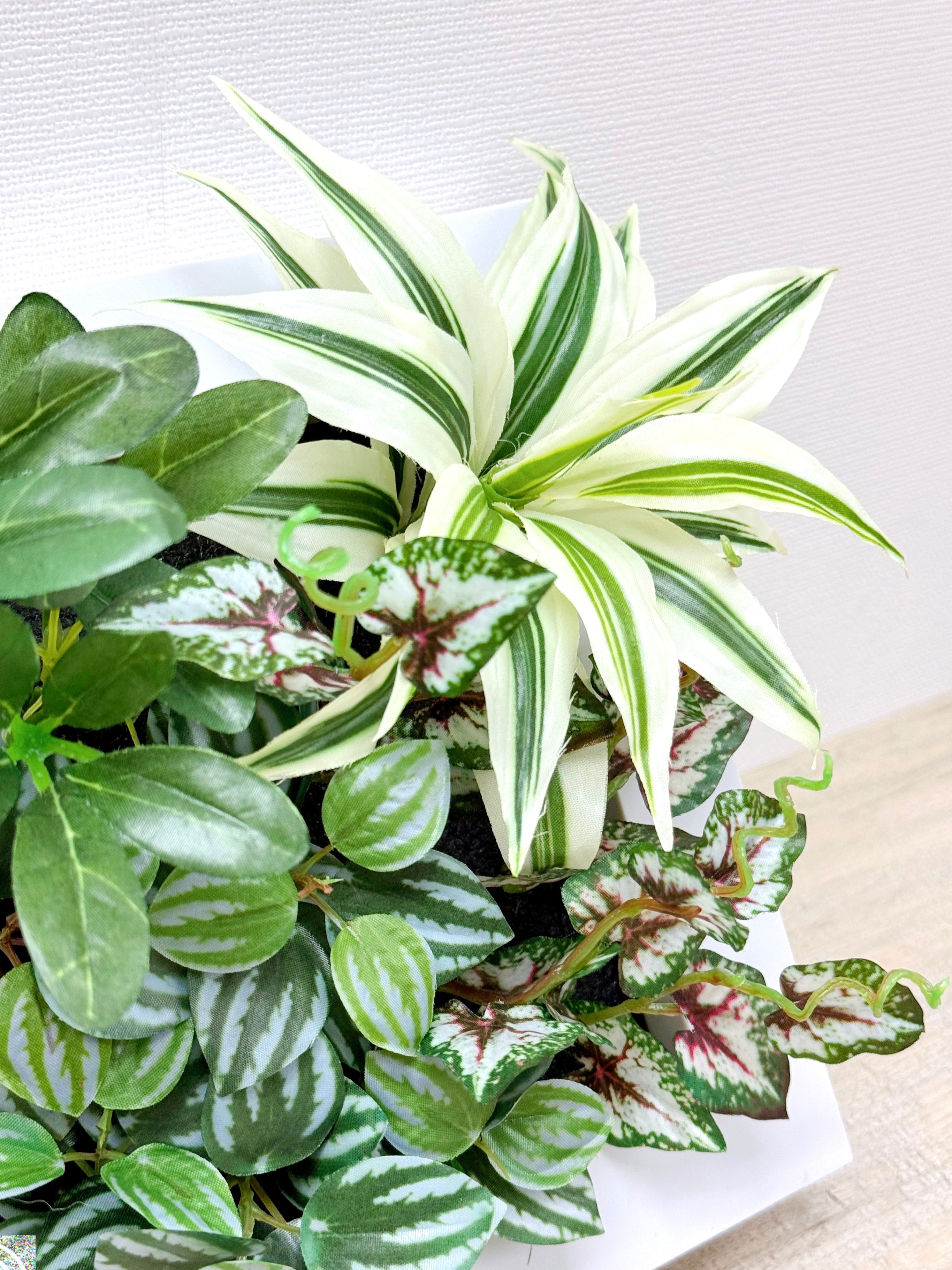 【香港現貨】仿真植物掛牆畫框 2件組 (25cm) | 3D 立體牆身裝飾 Wall Frame Set - Midoria