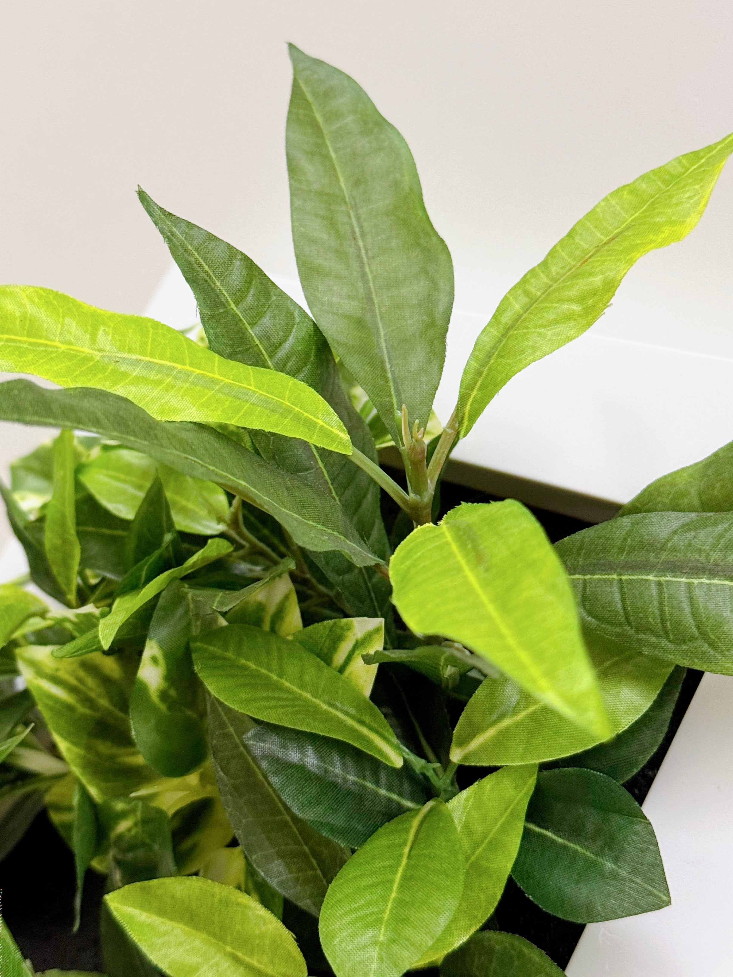 【香港現貨】仿真植物掛牆畫框 2件組 (25cm) | 3D 立體牆身裝飾 Wall Frame Set - Midoria