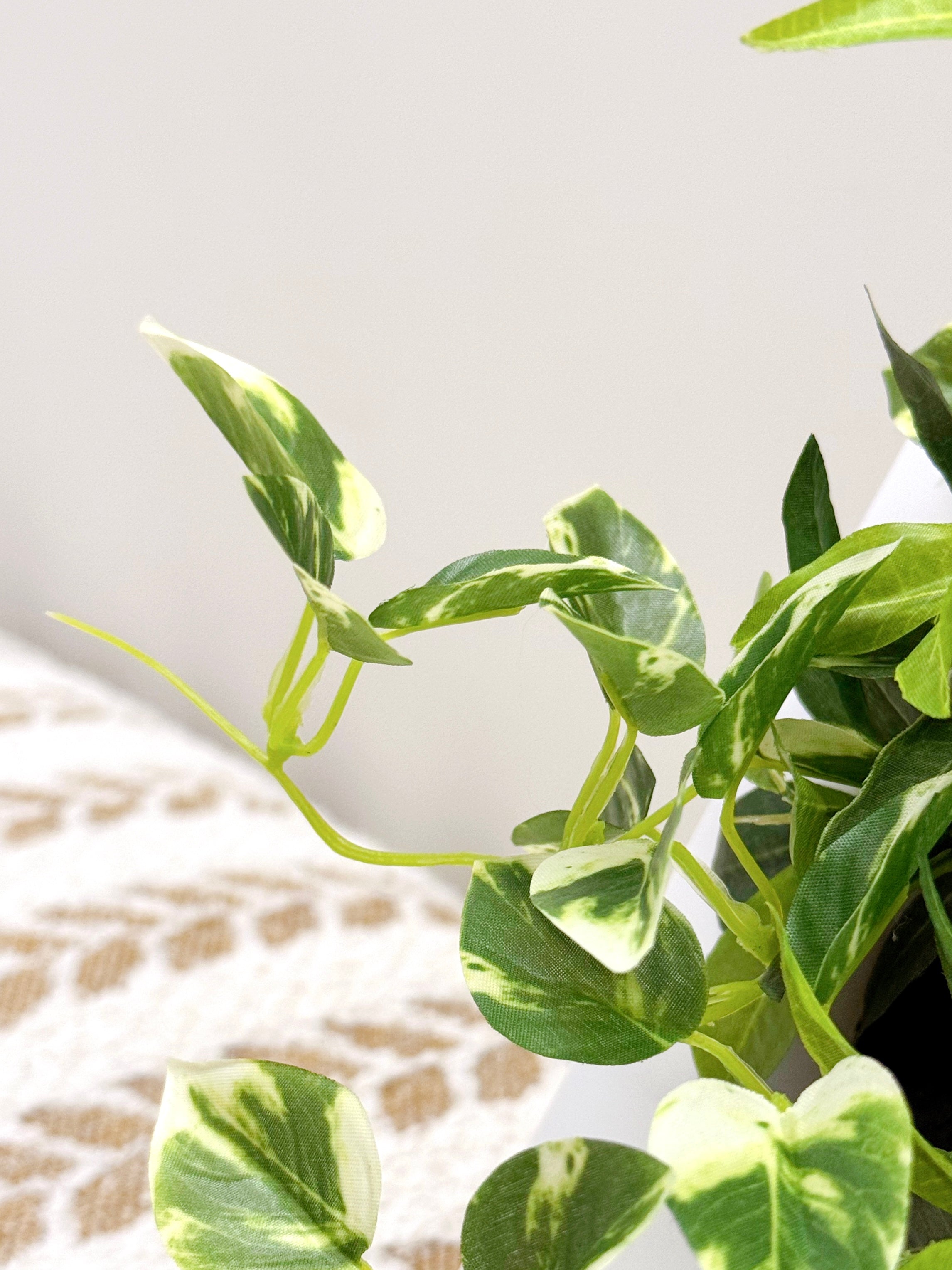 【香港現貨】仿真植物掛牆畫框 2件組 (25cm) | 3D 立體牆身裝飾 Wall Frame Set - Midoria