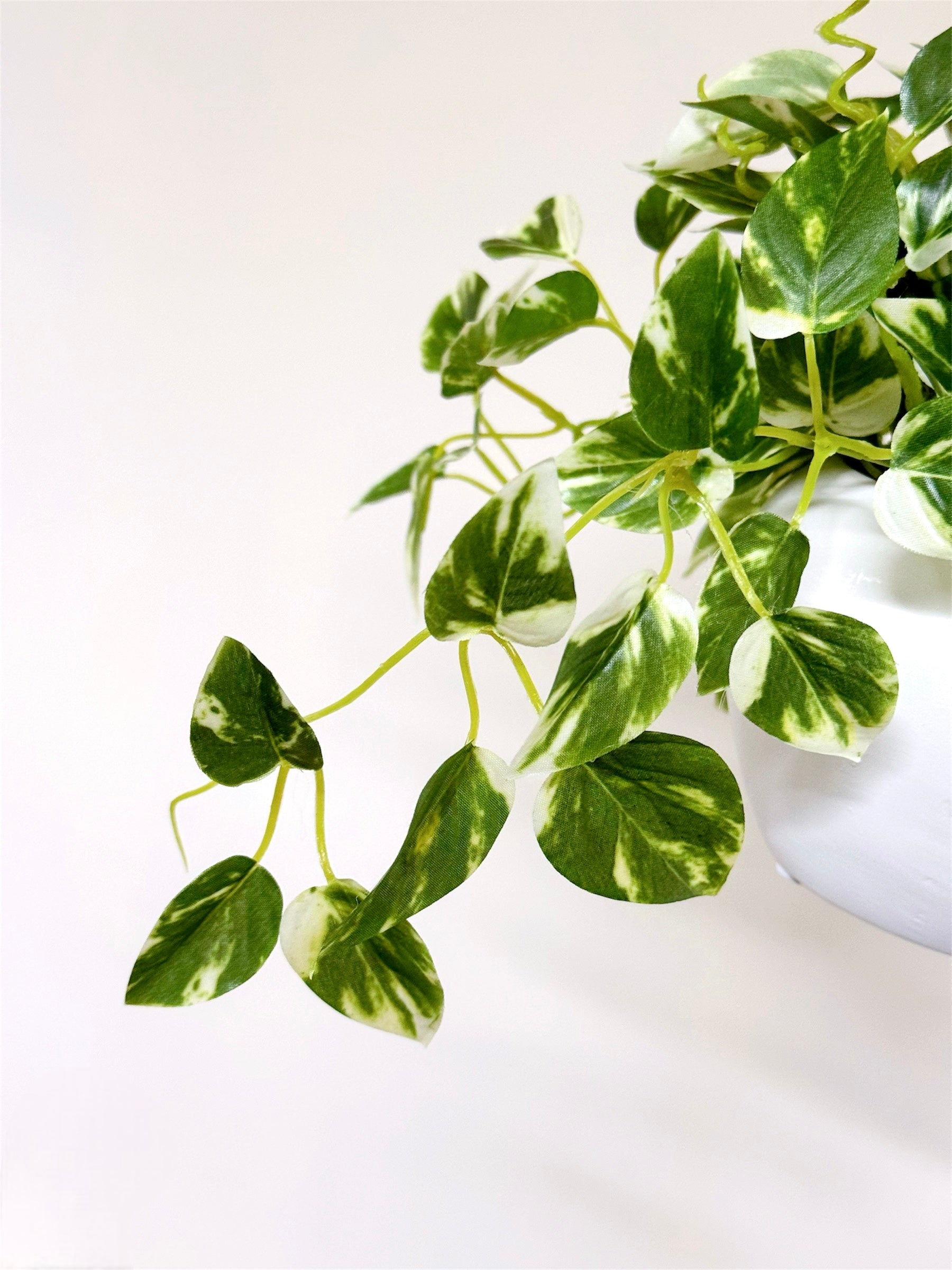 【香港現貨】仿真常春藤吊籃盆栽 (48cm) | 垂吊植物 麻繩陶盆 English Ivy - Midoria