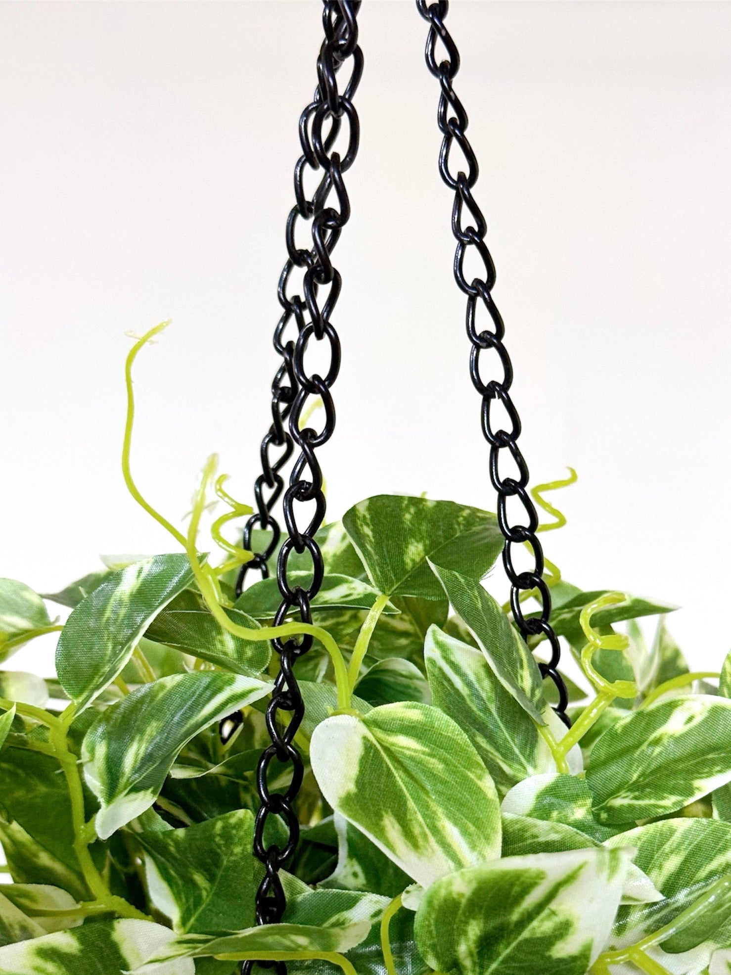 【香港現貨】仿真常春藤吊籃盆栽 (48cm) | 垂吊植物 麻繩陶盆 English Ivy - Midoria