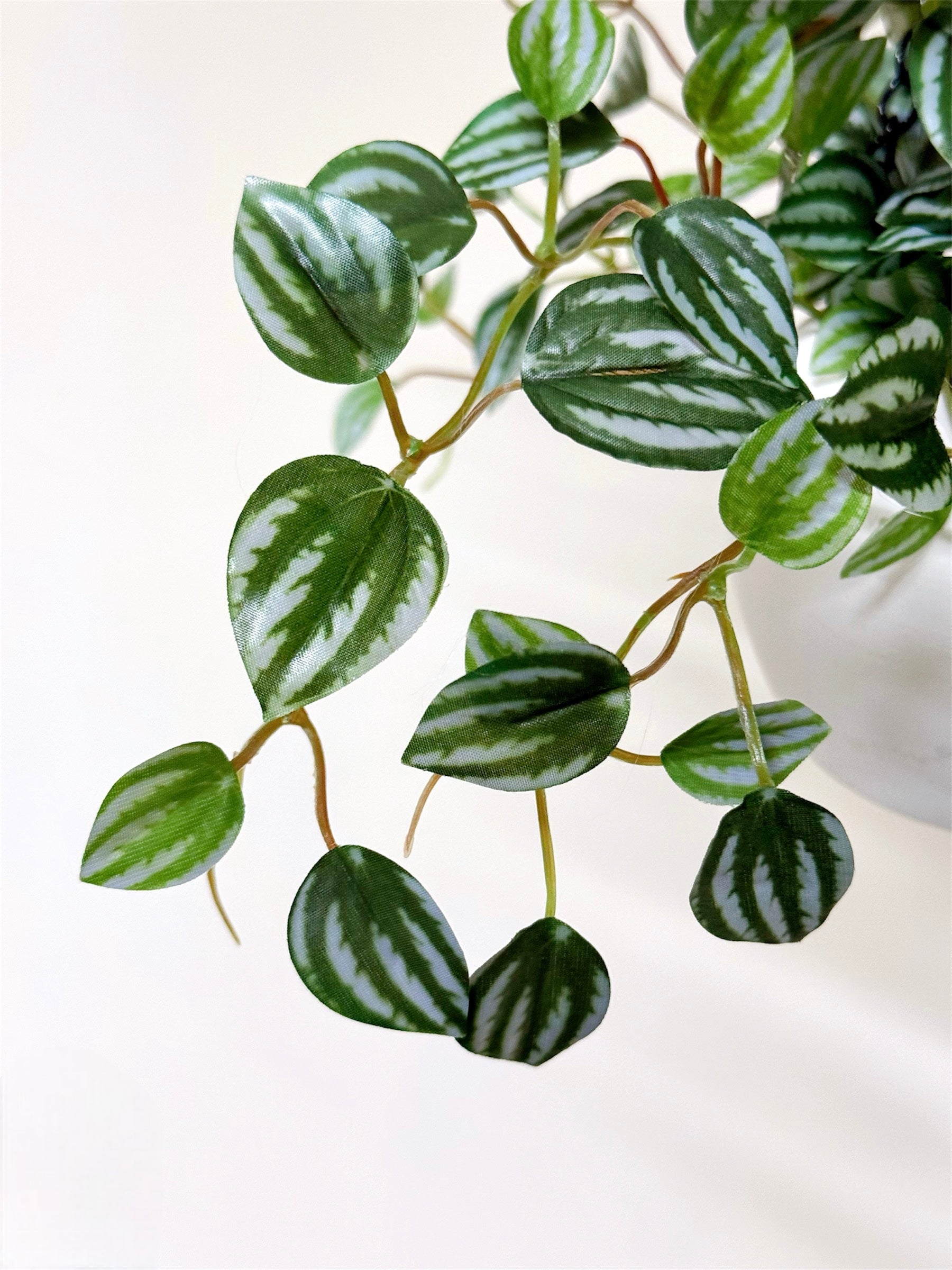 【香港現貨】仿真常春藤吊籃盆栽 (48cm) | 垂吊植物 麻繩陶盆 English Ivy - Midoria