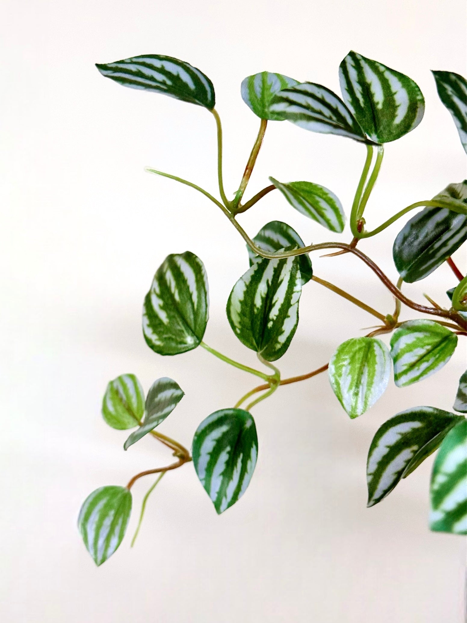 【香港現貨】仿真常春藤吊籃盆栽 (48cm) | 垂吊植物 麻繩陶盆 English Ivy - Midoria