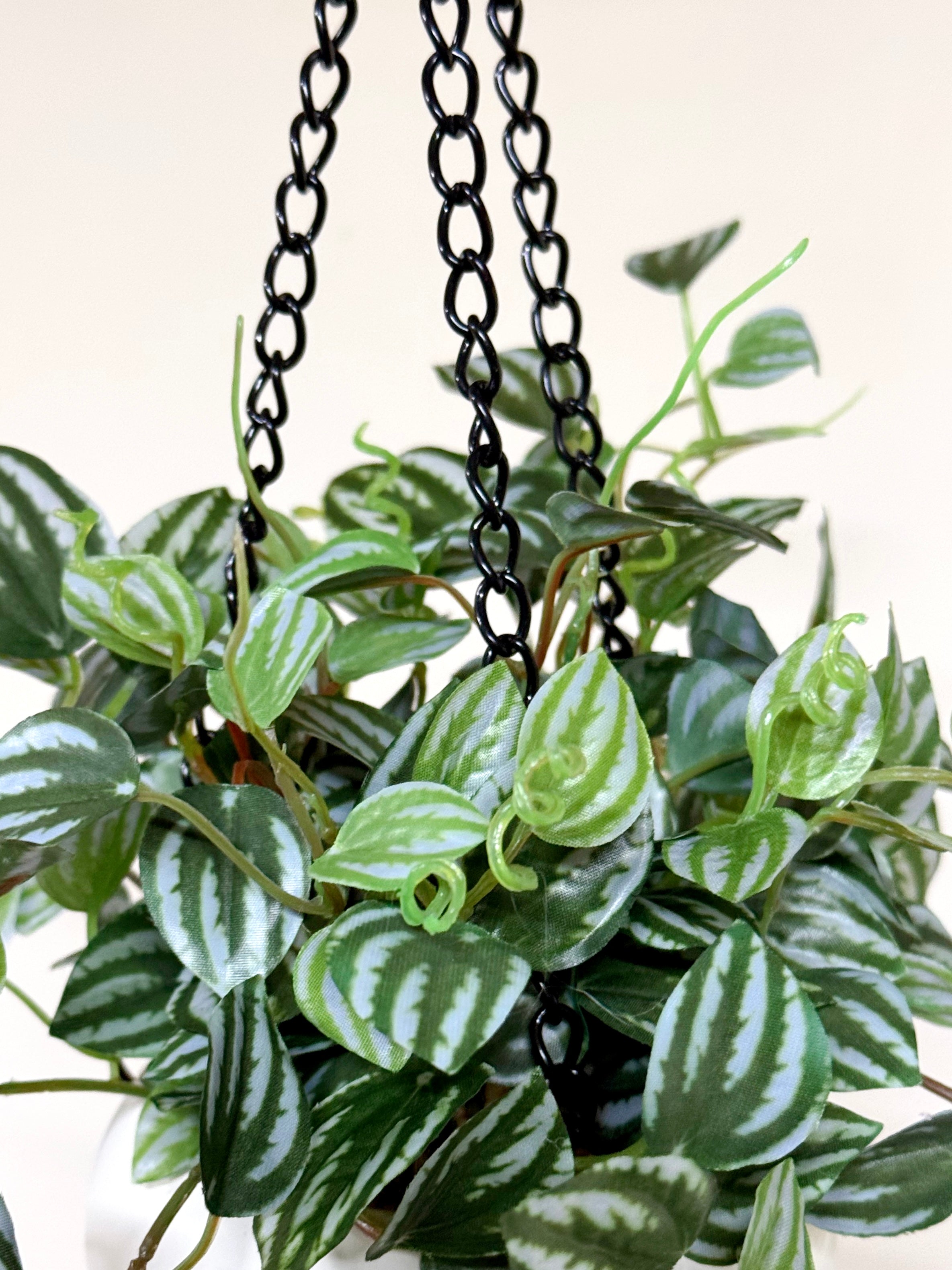 【香港現貨】仿真常春藤吊籃盆栽 (48cm) | 垂吊植物 麻繩陶盆 English Ivy - Midoria