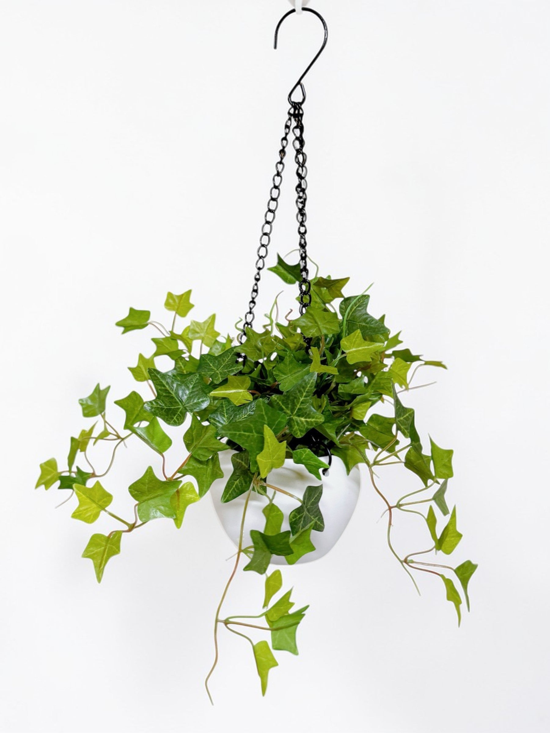 【香港現貨】仿真常春藤吊籃盆栽 (48cm) | 垂吊植物 麻繩陶盆 English Ivy - Midoria