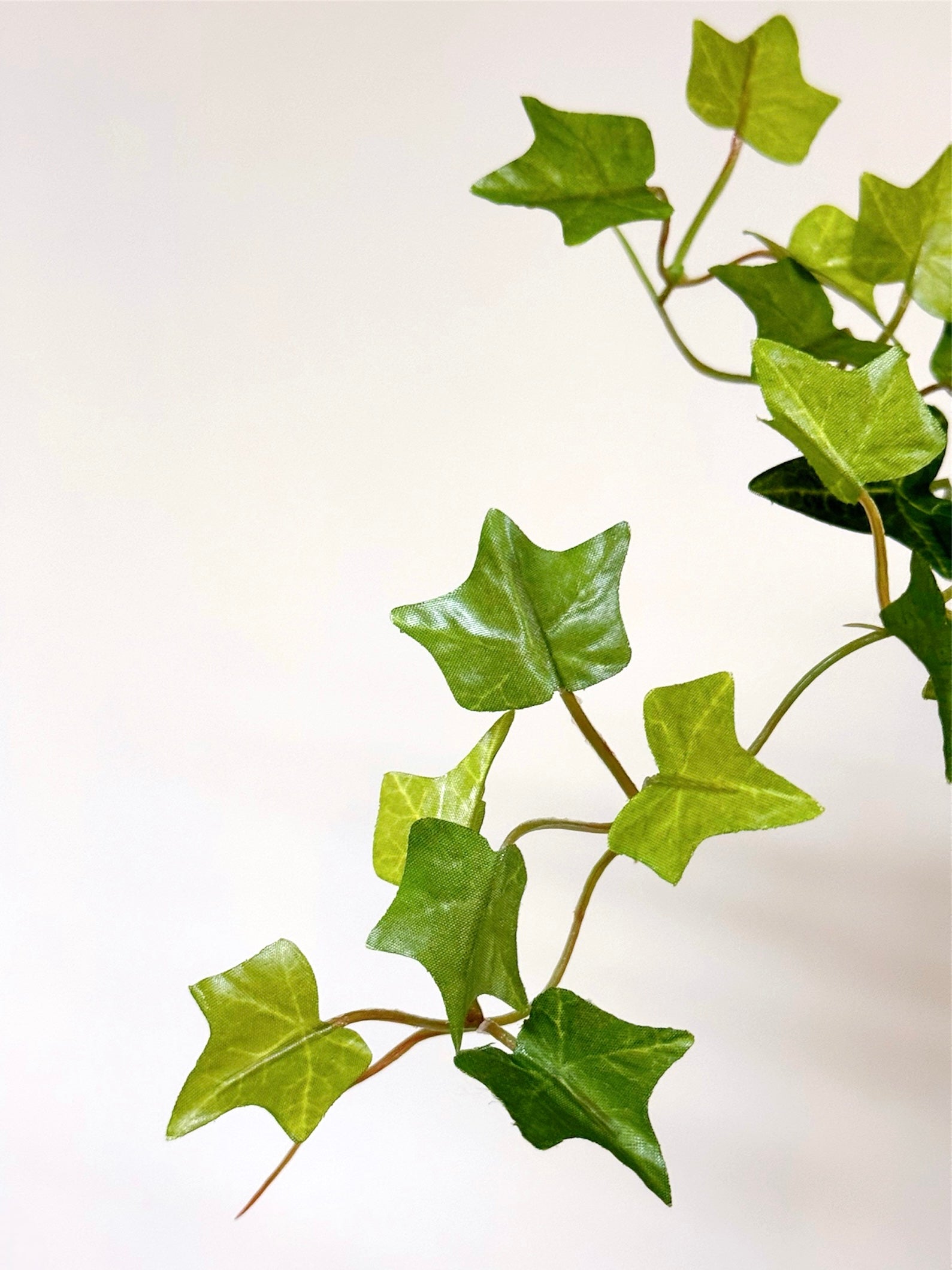 【香港現貨】仿真常春藤吊籃盆栽 (48cm) | 垂吊植物 麻繩陶盆 English Ivy - Midoria