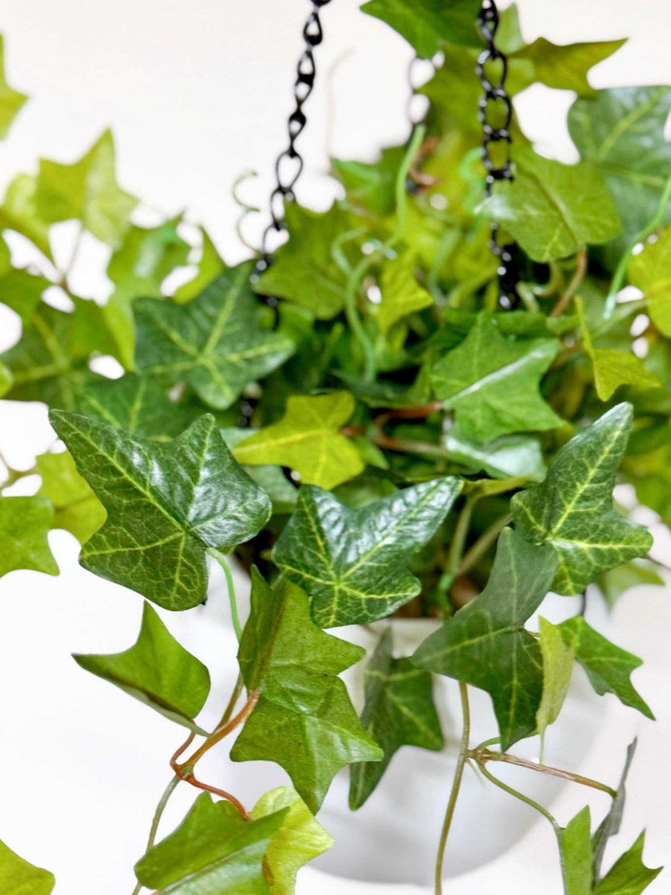 【香港現貨】仿真常春藤吊籃盆栽 (48cm) | 垂吊植物 麻繩陶盆 English Ivy - Midoria
