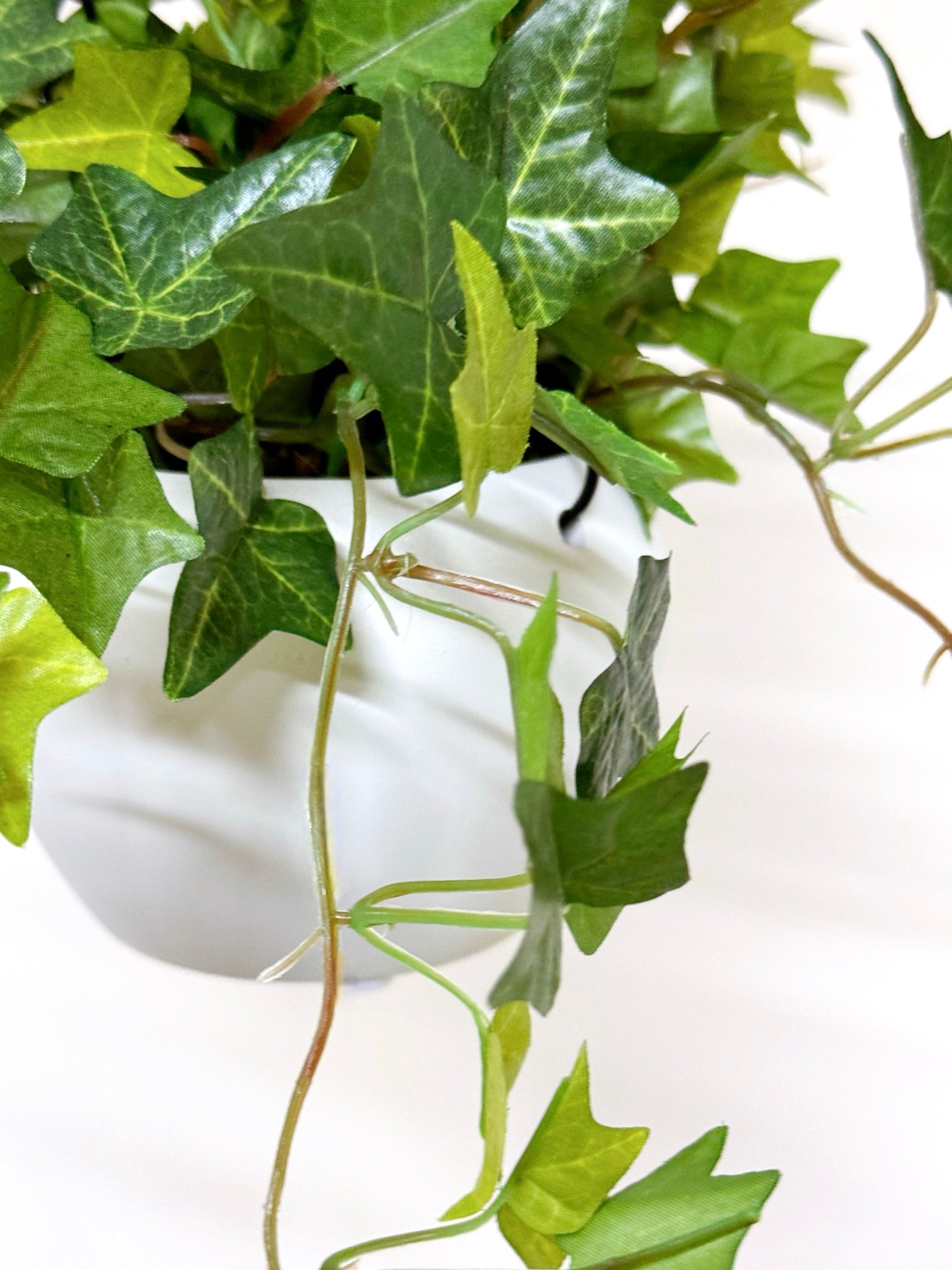 【香港現貨】仿真常春藤吊籃盆栽 (48cm) | 垂吊植物 麻繩陶盆 English Ivy - Midoria