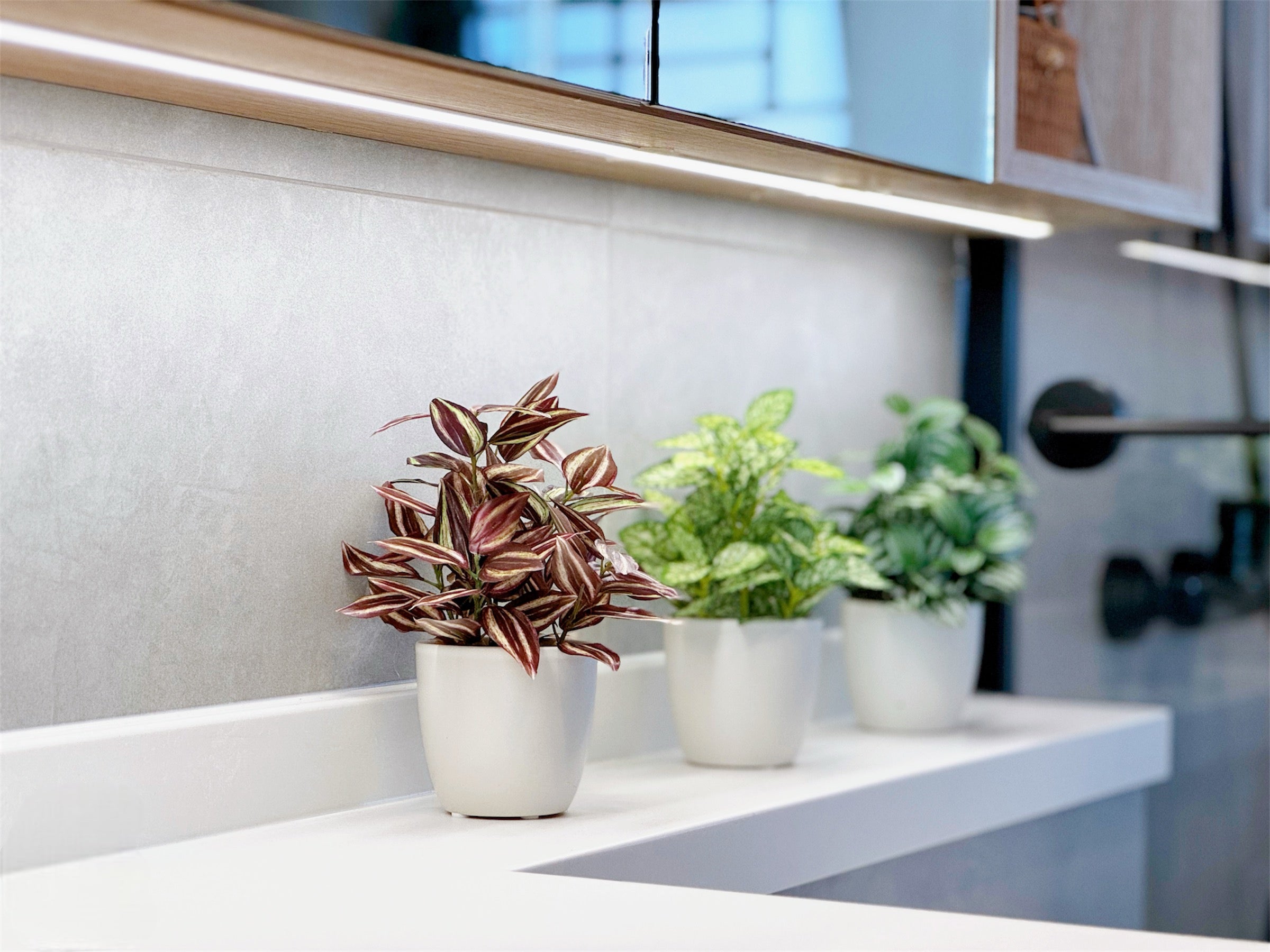 【香港現貨】北歐風仿真迷你盆栽 3件套 | 20cm Mini Artificial Potted Plants (Set of 3) - Midoria