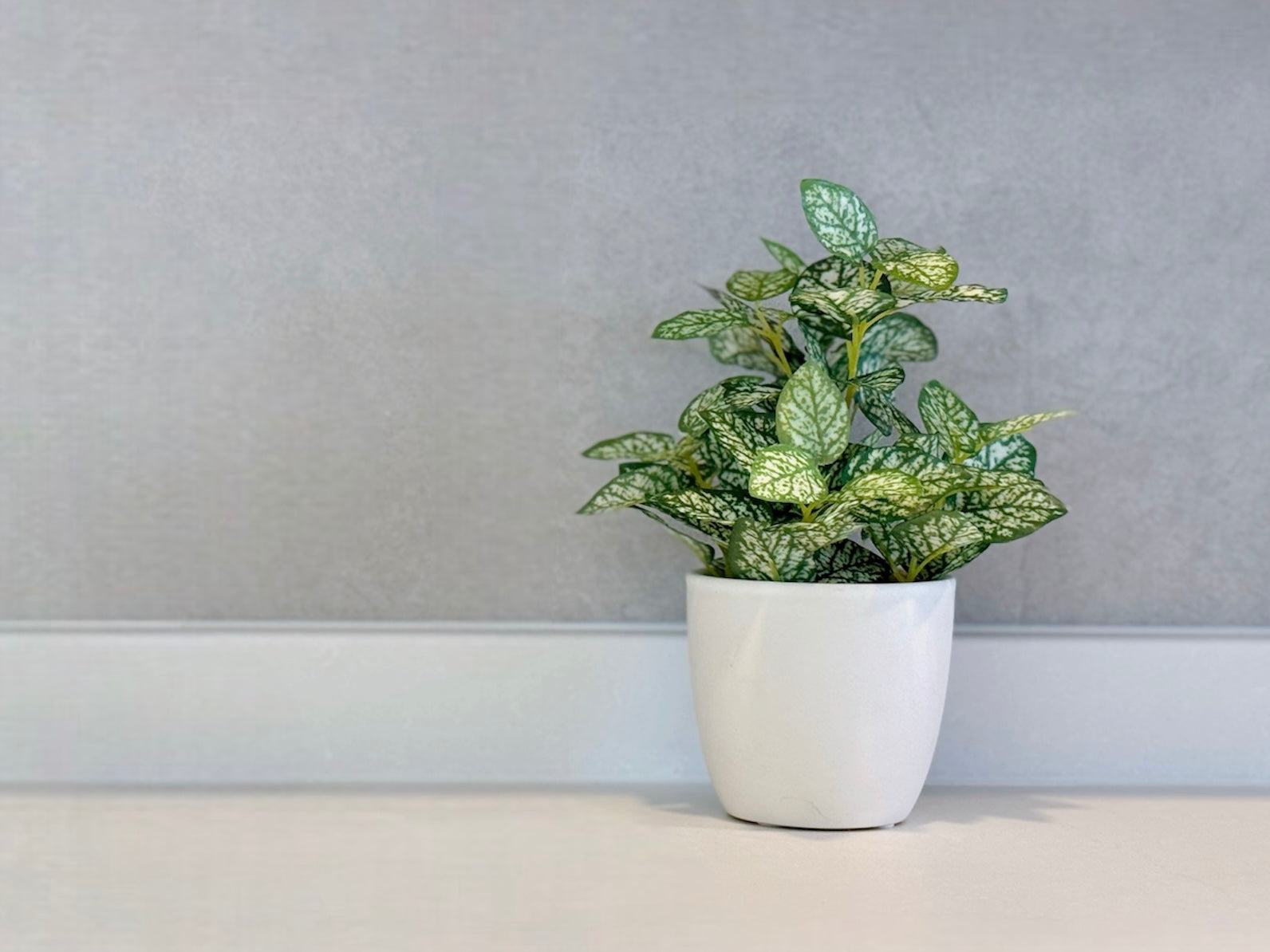 【香港現貨】北歐風仿真迷你盆栽 3件套 | 20cm Mini Artificial Potted Plants (Set of 3) - Midoria