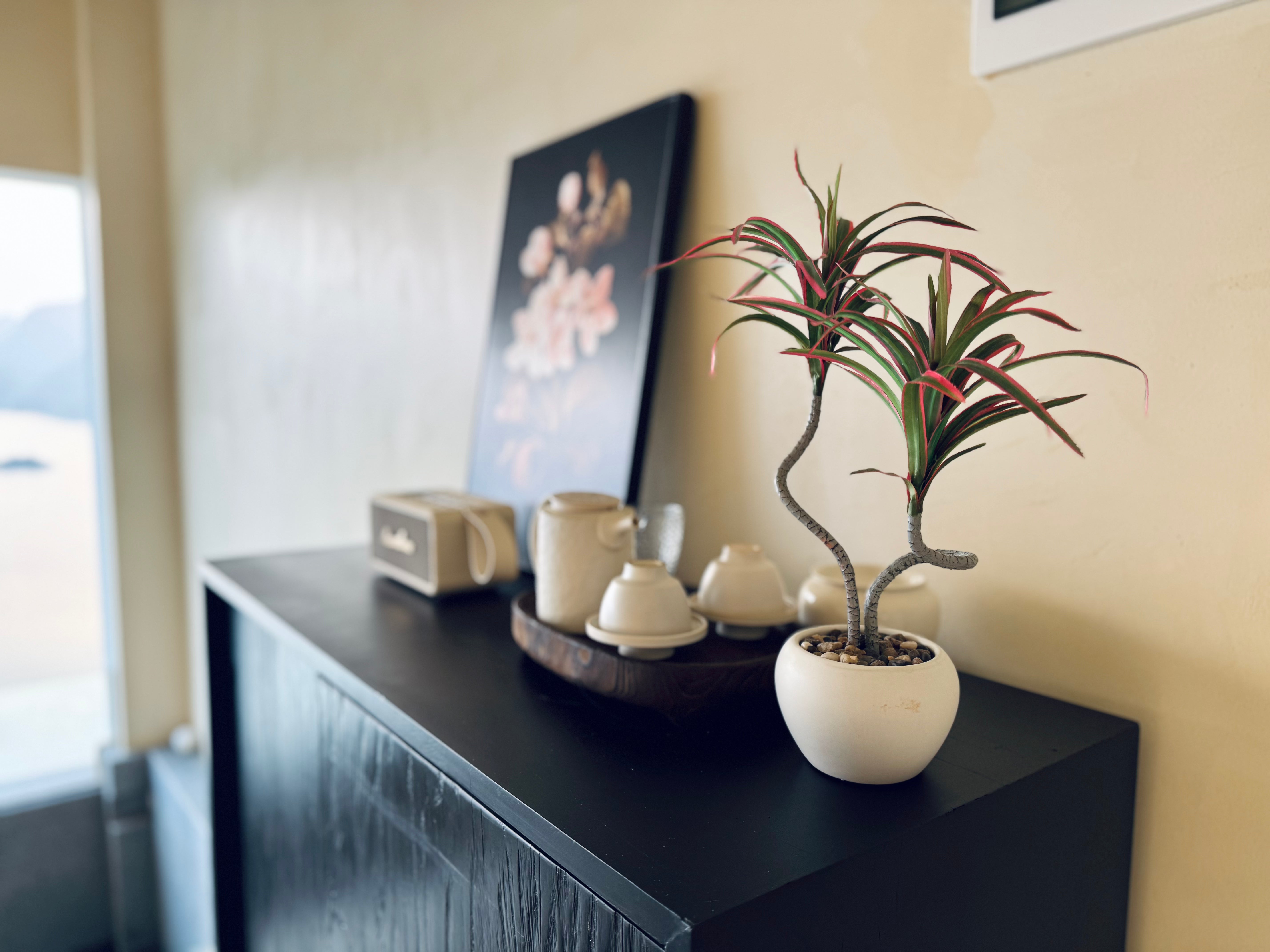 【香港現貨】仿真龍血蘭陶瓷盆栽 (39cm) | 日系極簡禪意 扭曲枝幹造型 Dracaena - Midoria