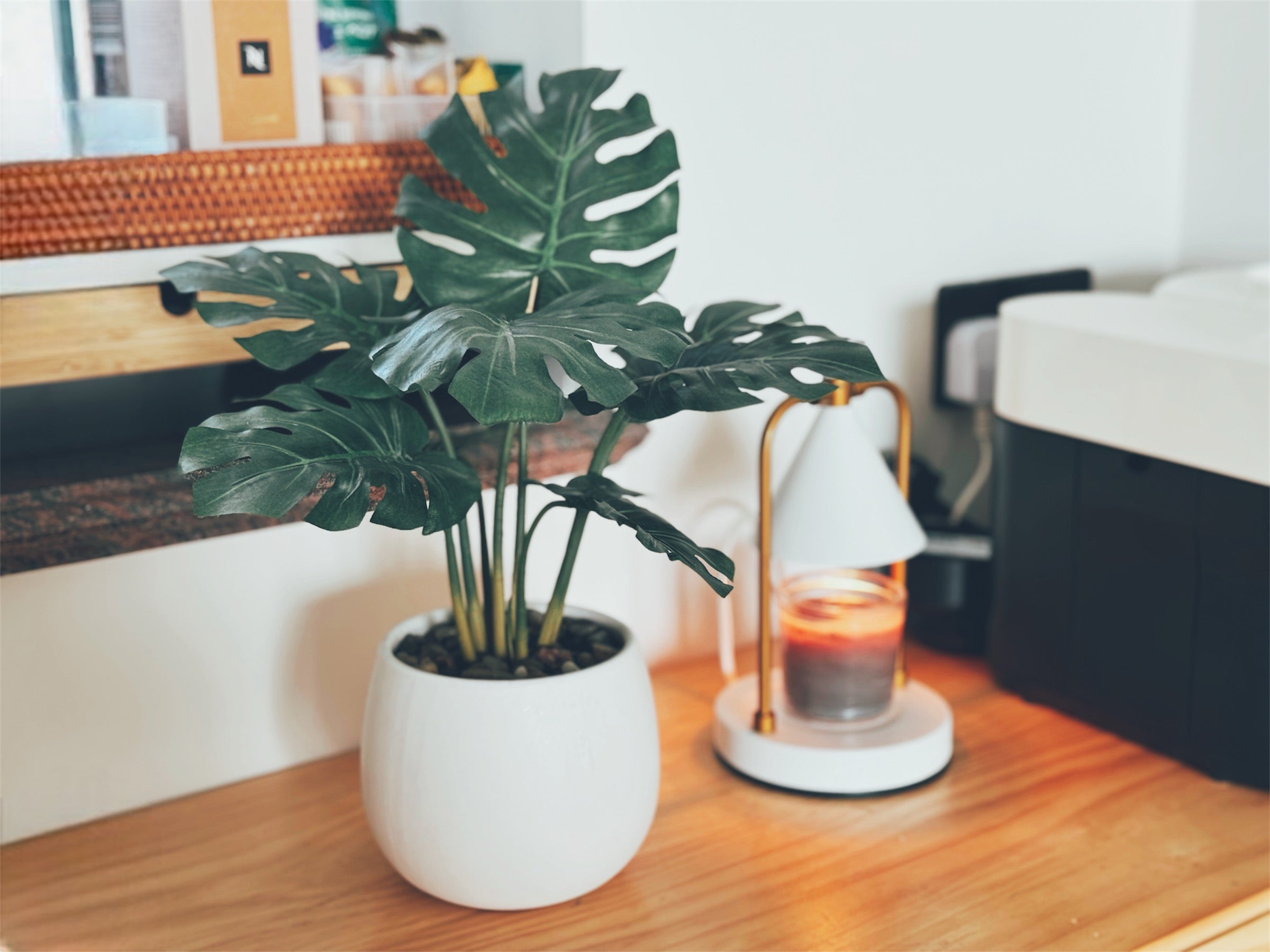 【香港現貨】仿真龜背芋陶瓷盆栽 (37cm) | 北歐風人造植物 鵝蛋型盆 Monstera - Midoria