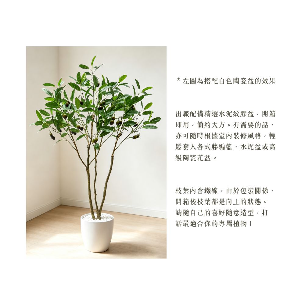 104cm 仿真橄欖樹綠植盆栽 (水泥紋膠盆)｜造型效果