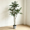 114cm 仿真榕樹細葉榕盆栽 (水泥紋膠盆)｜北歐極簡室內大型綠植 Ficus
