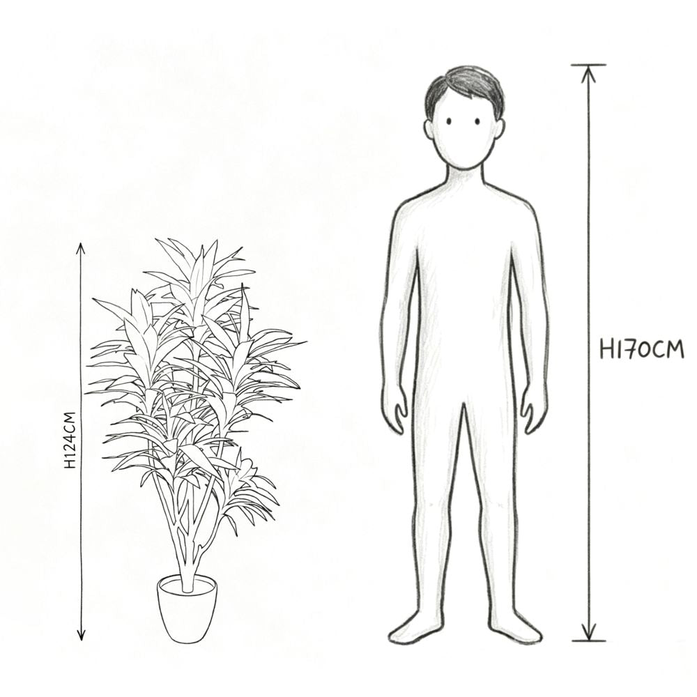 124cm 仿真巴西鐵樹中大型綠植盆栽 (水泥紋膠盆)｜實際比例圖