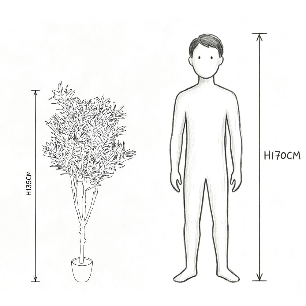 131cm 仿真橄欖樹大型綠植盆栽 (水泥紋膠盆)｜實際比例圖