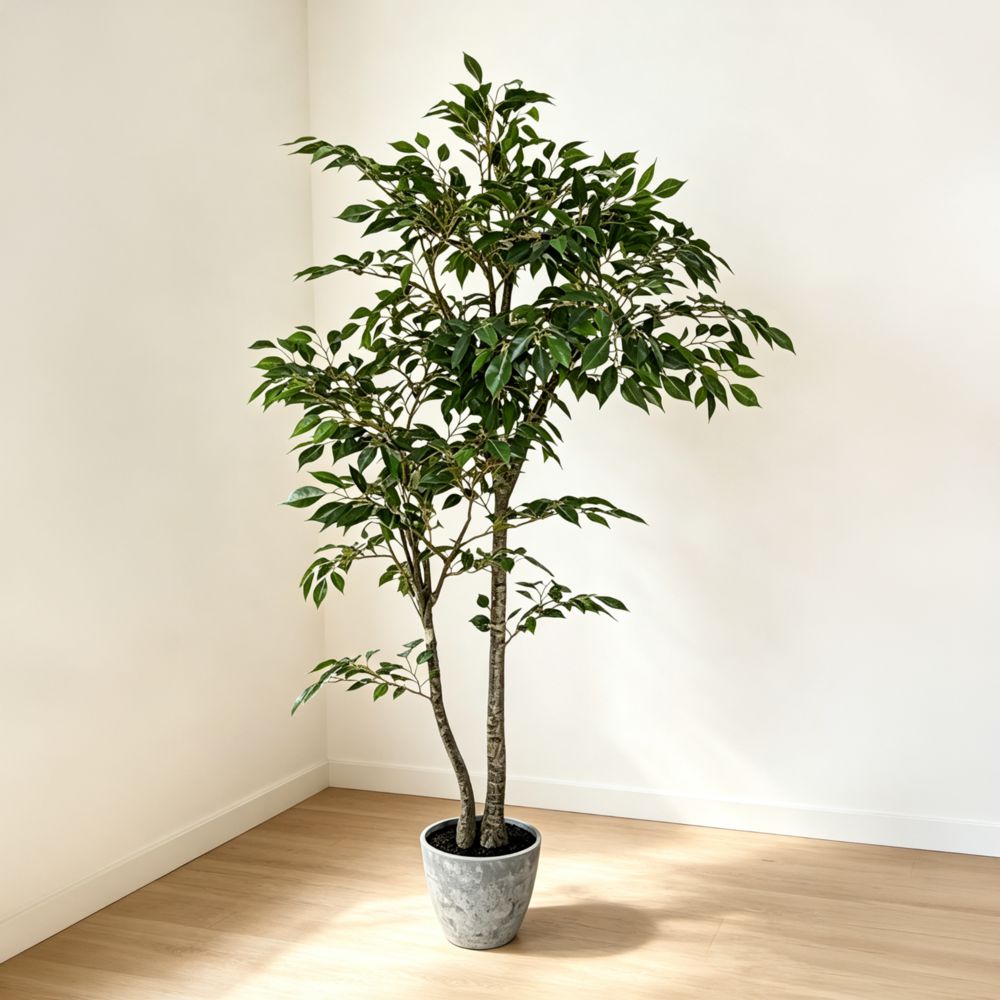134cm 仿真雙杆榕樹中大型綠植盆栽 (水泥灰膠盆)｜北歐極簡風室內植物 Ficus Tree