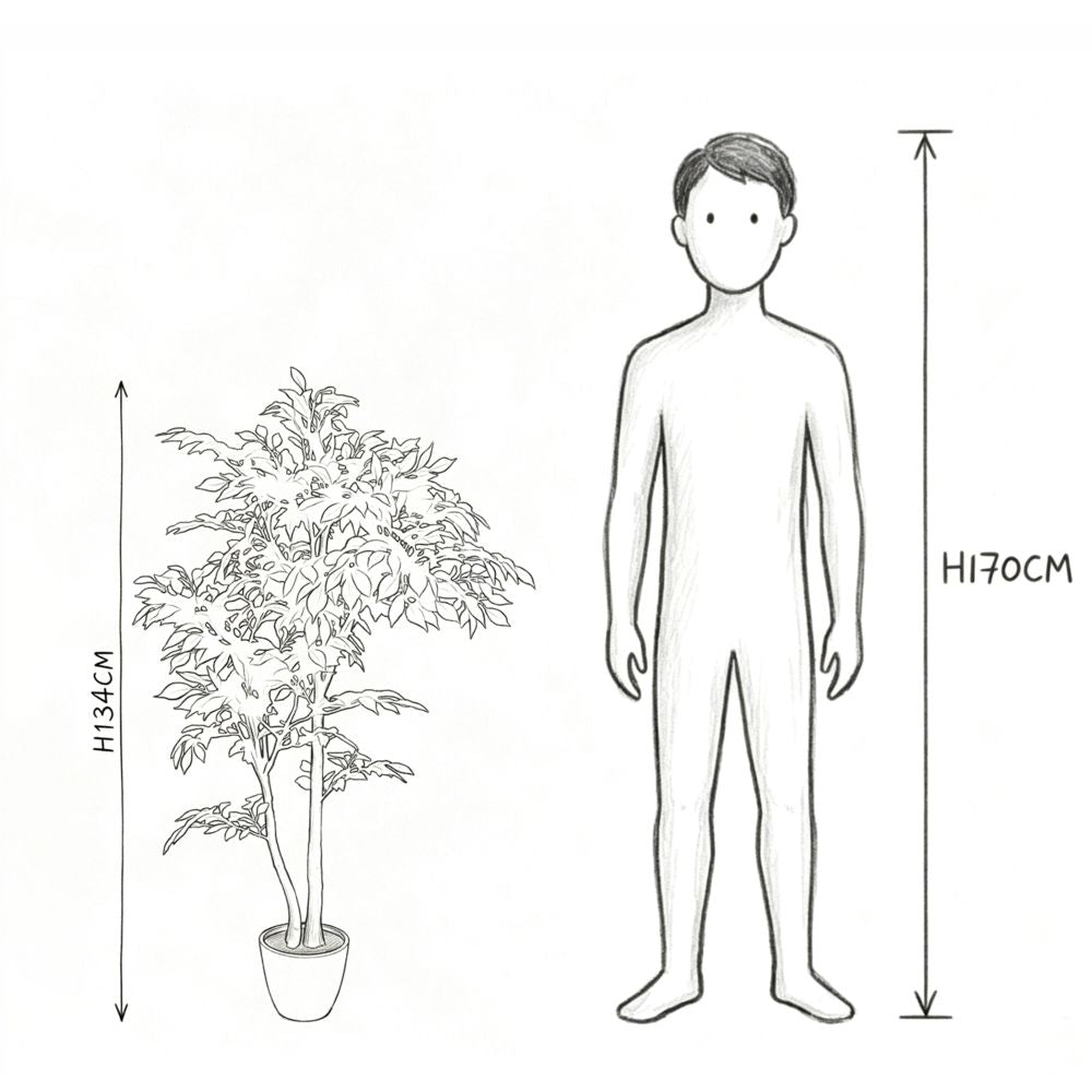134cm 仿真雙杆榕樹中大型綠植盆栽 (水泥灰膠盆)｜實際比例圖