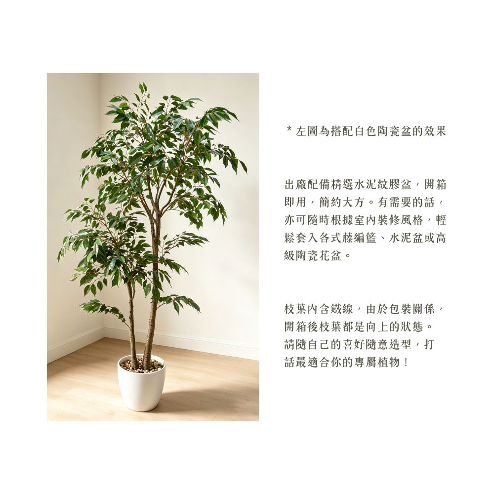 134cm 仿真雙杆榕樹中大型綠植盆栽 (水泥灰膠盆)｜造型效果