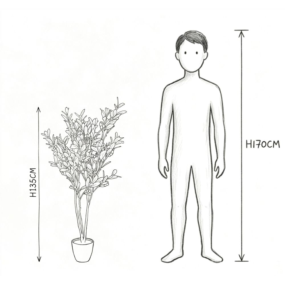 135cm 仿真橄欖樹中大型綠植盆栽 (水泥紋膠盆)｜實際比例圖
