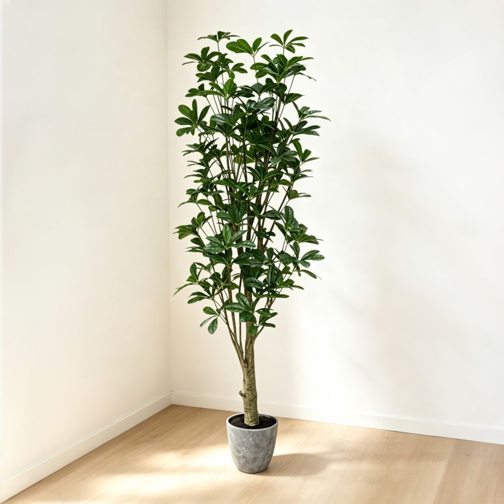 150cm 仿真鴨腳木大型綠植盆栽 (水泥灰膠盆)｜北歐極簡風室內植物 Schefflera Tree