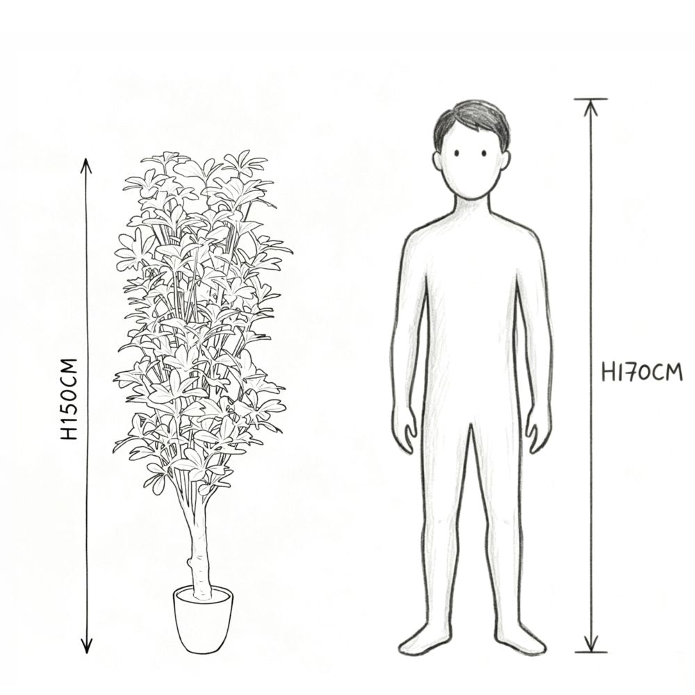 150cm 仿真鴨腳木大型綠植盆栽 (水泥灰膠盆)｜實際比例圖