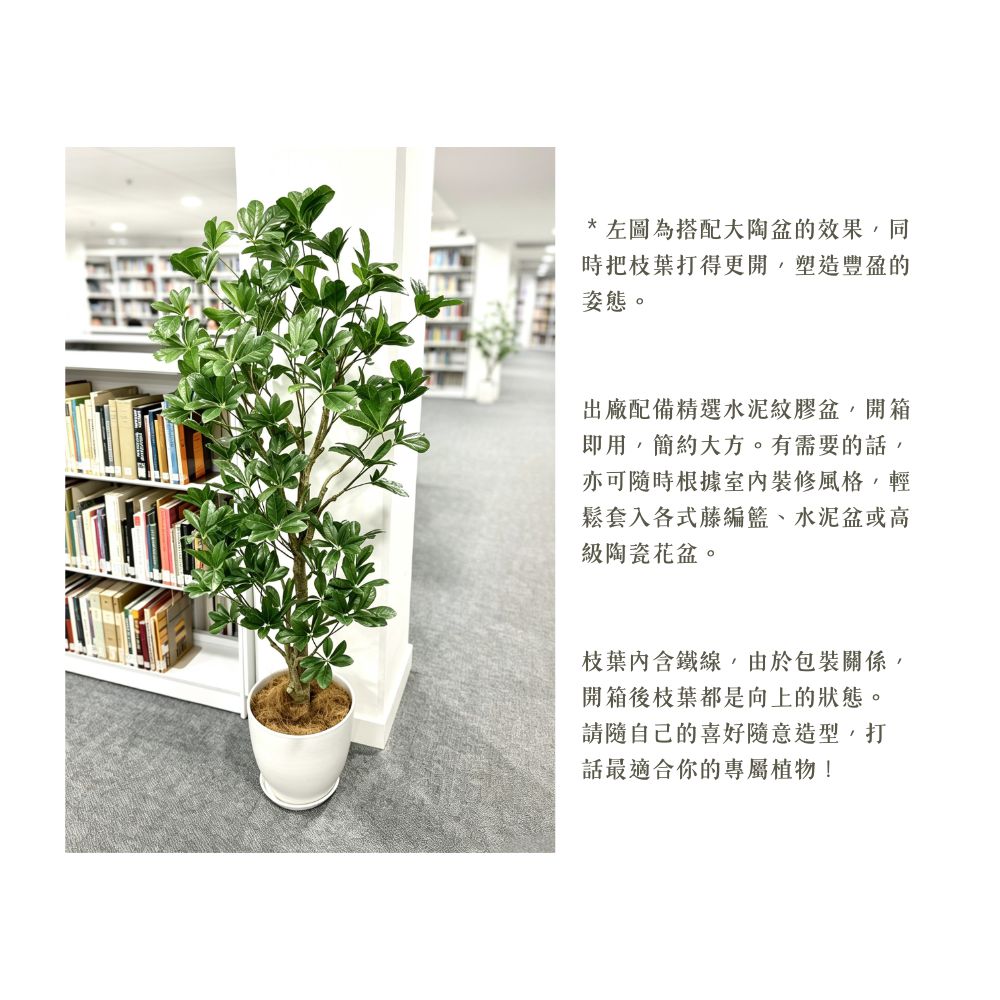150cm 仿真鴨腳木大型綠植盆栽 (水泥灰膠盆)｜造型效果