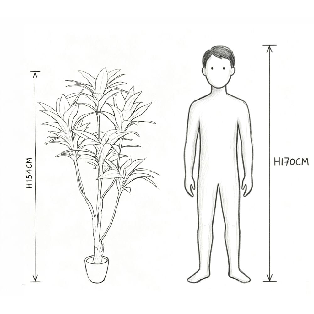 154cm 仿真巴西鐵樹大型綠植盆栽 (水泥紋膠盆)｜實際比例圖