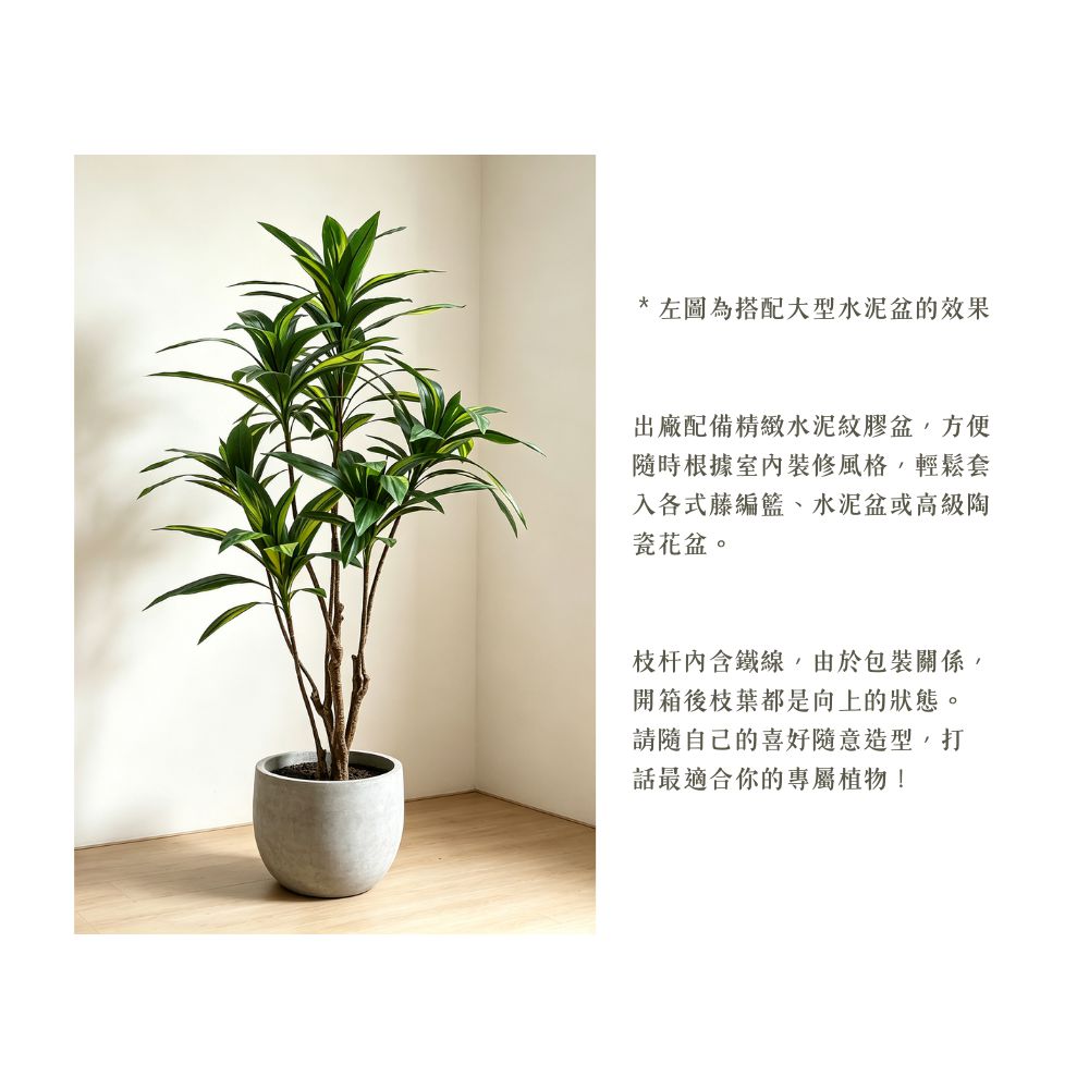 154cm 仿真巴西鐵樹大型綠植盆栽 (水泥紋膠盆)｜造型效果