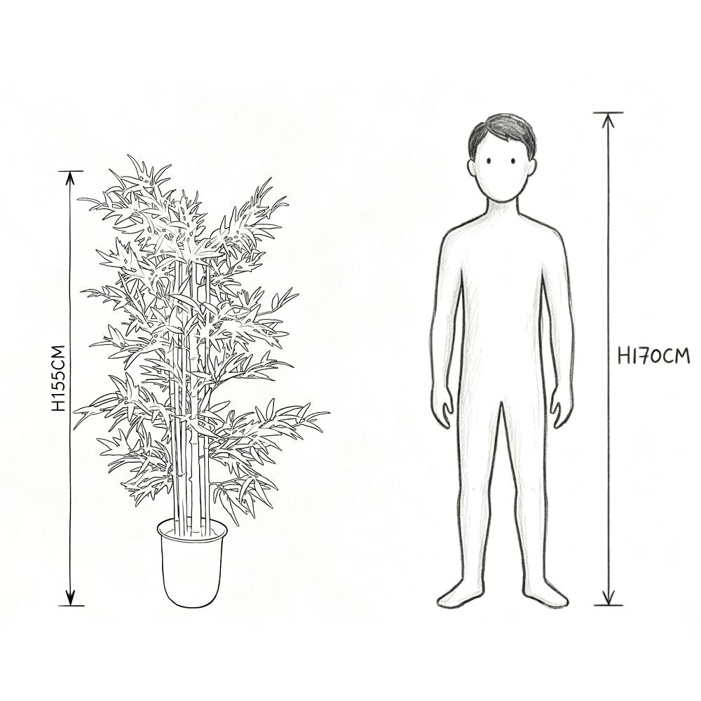155cm 仿真竹大型綠植盆栽 (膠盆款)｜實際比例圖