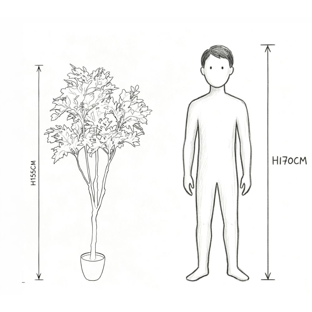 155cm 仿真榕樹大型綠植盆栽 (水泥紋膠盆)｜實際比例圖