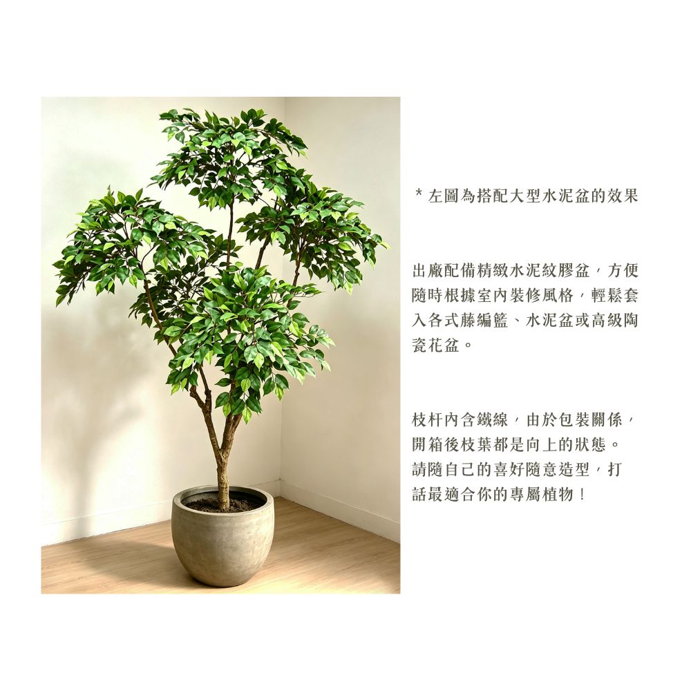 155cm 仿真榕樹大型綠植盆栽 (水泥紋膠盆)｜造型效果