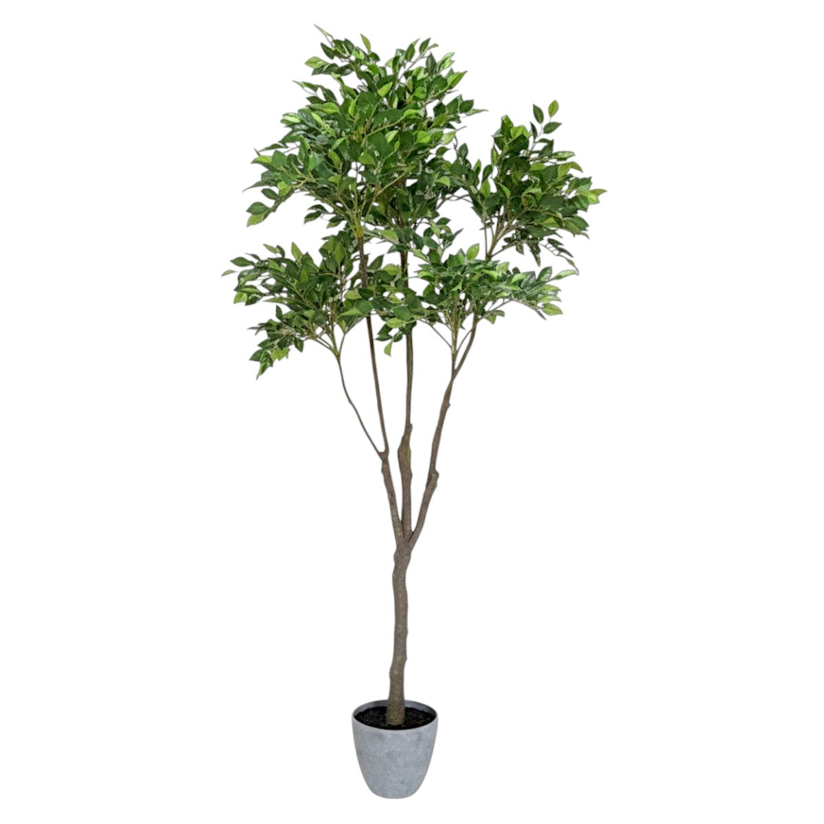 155cm 仿真榕樹大型綠植盆栽 (水泥紋膠盆)