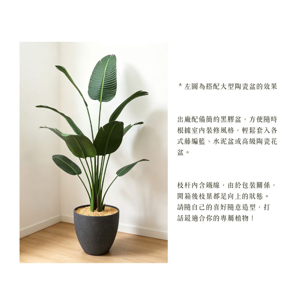 156cm 仿真旅人蕉大型綠植盆栽 (黑膠盆)｜造型效果