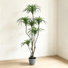 157cm 仿真千年木大型綠植盆栽 (水泥紋膠盆)｜北歐極簡風室內植物 Dracaena Tree