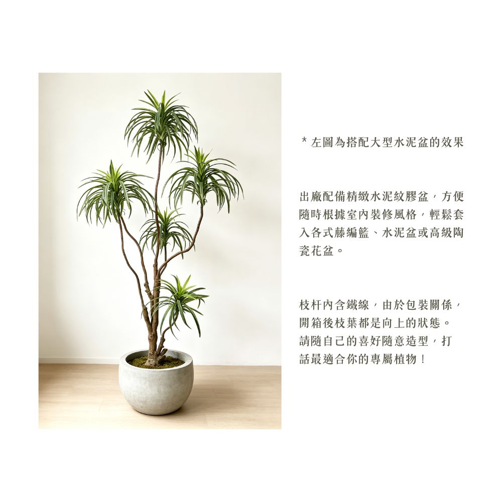 157cm 仿真千年木大型綠植盆栽 (水泥紋膠盆)｜造型效果