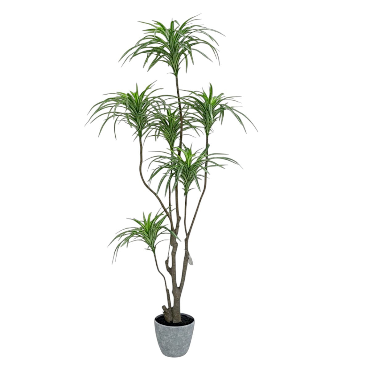 157cm 仿真千年木大型綠植盆栽 (水泥紋膠盆)