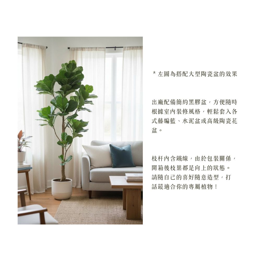 160cm 仿真琴葉榕大型綠植盆栽 (黑膠盆)｜造型效果