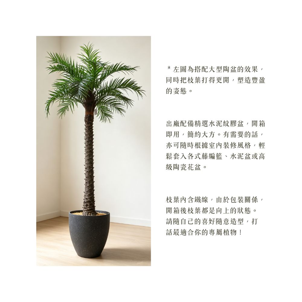 174cm 仿真海棗樹大型綠植盆栽 (水泥紋膠盆)｜造型效果