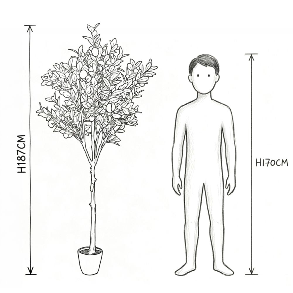 187cm 仿真檸檬樹大型綠植盆栽 (水泥紋膠盆)｜實際比例圖