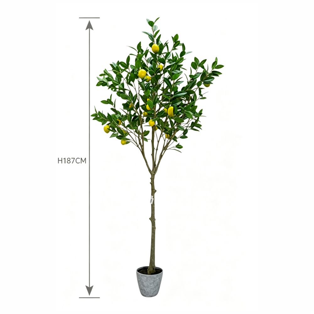 187cm 仿真檸檬樹大型綠植盆栽 (水泥紋膠盆)｜尺寸圖