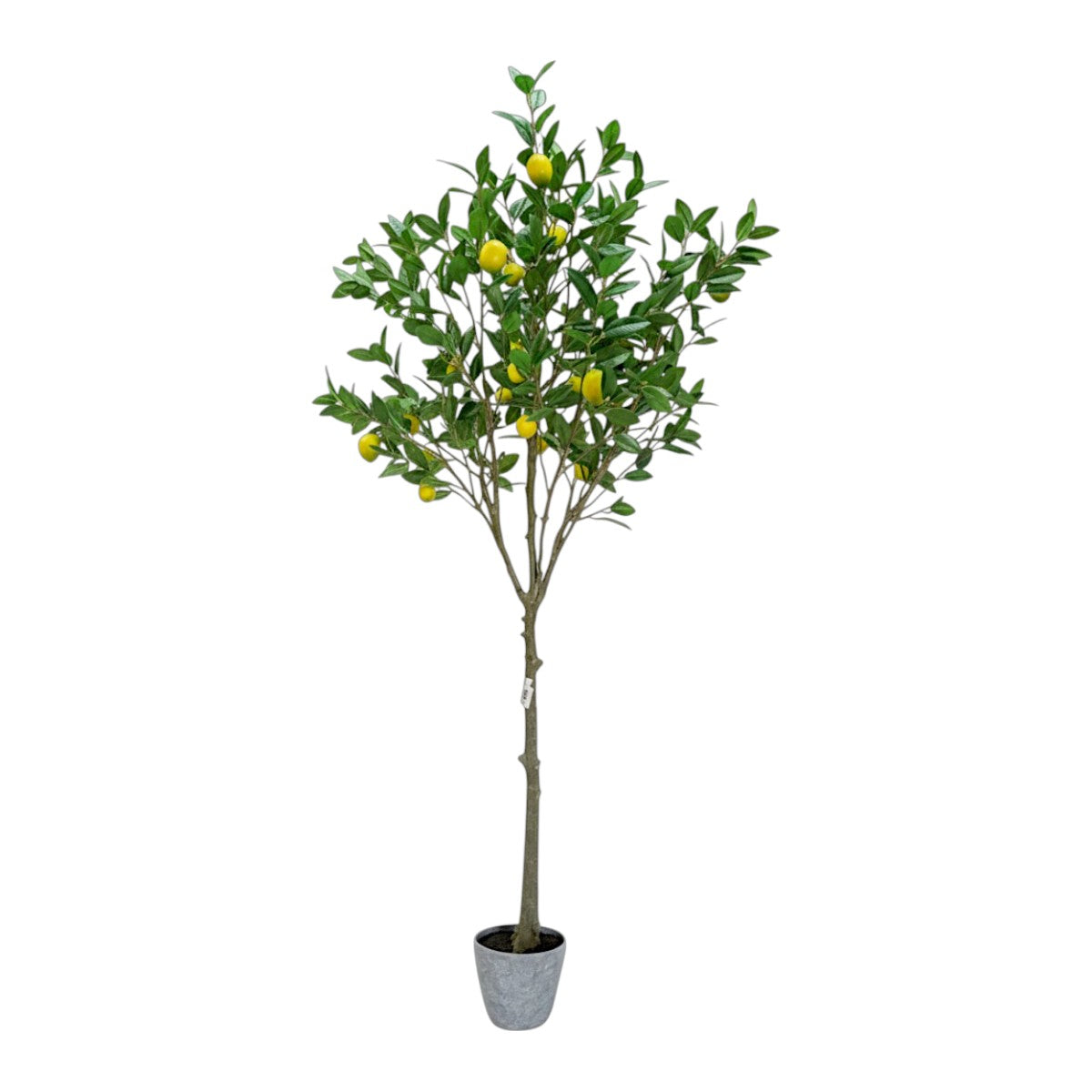 187cm 仿真檸檬樹大型綠植盆栽 (水泥紋膠盆)