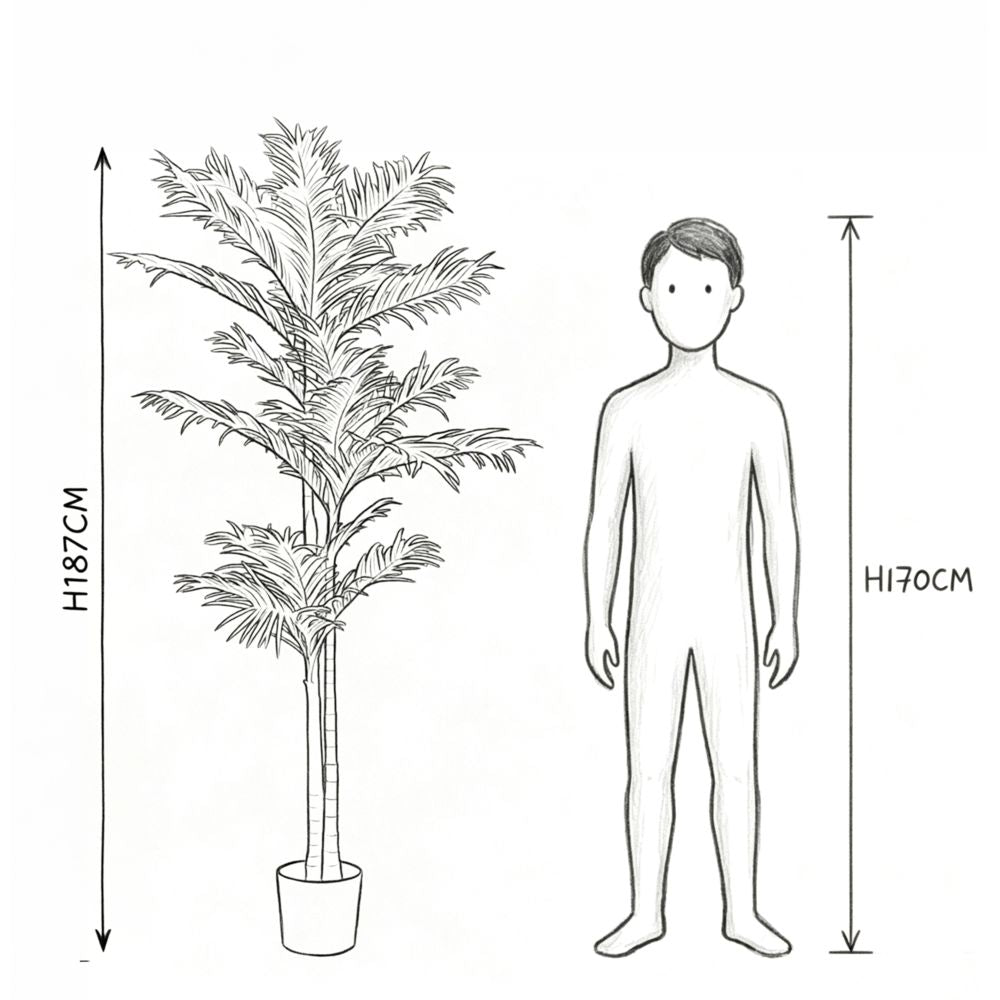 187cm 仿真棕櫚樹大型綠植盆栽 (黑膠盆)｜實際比例圖